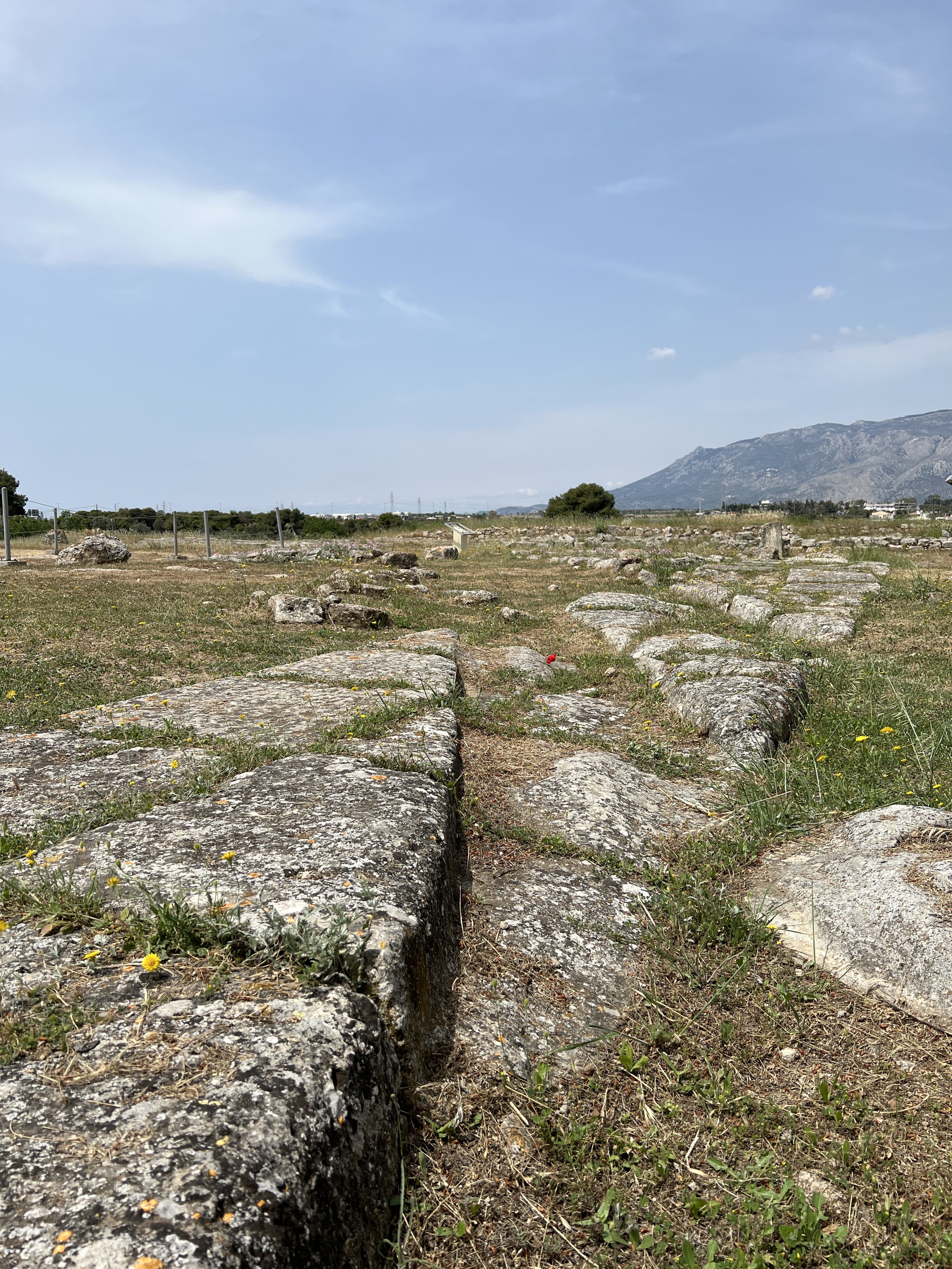 The altar of Poseidon, 120 ft long, with grooves in the ground from wheeled traffic entering the temple area carrying hundreds of bulls and cows to the altar for sacrifice. 