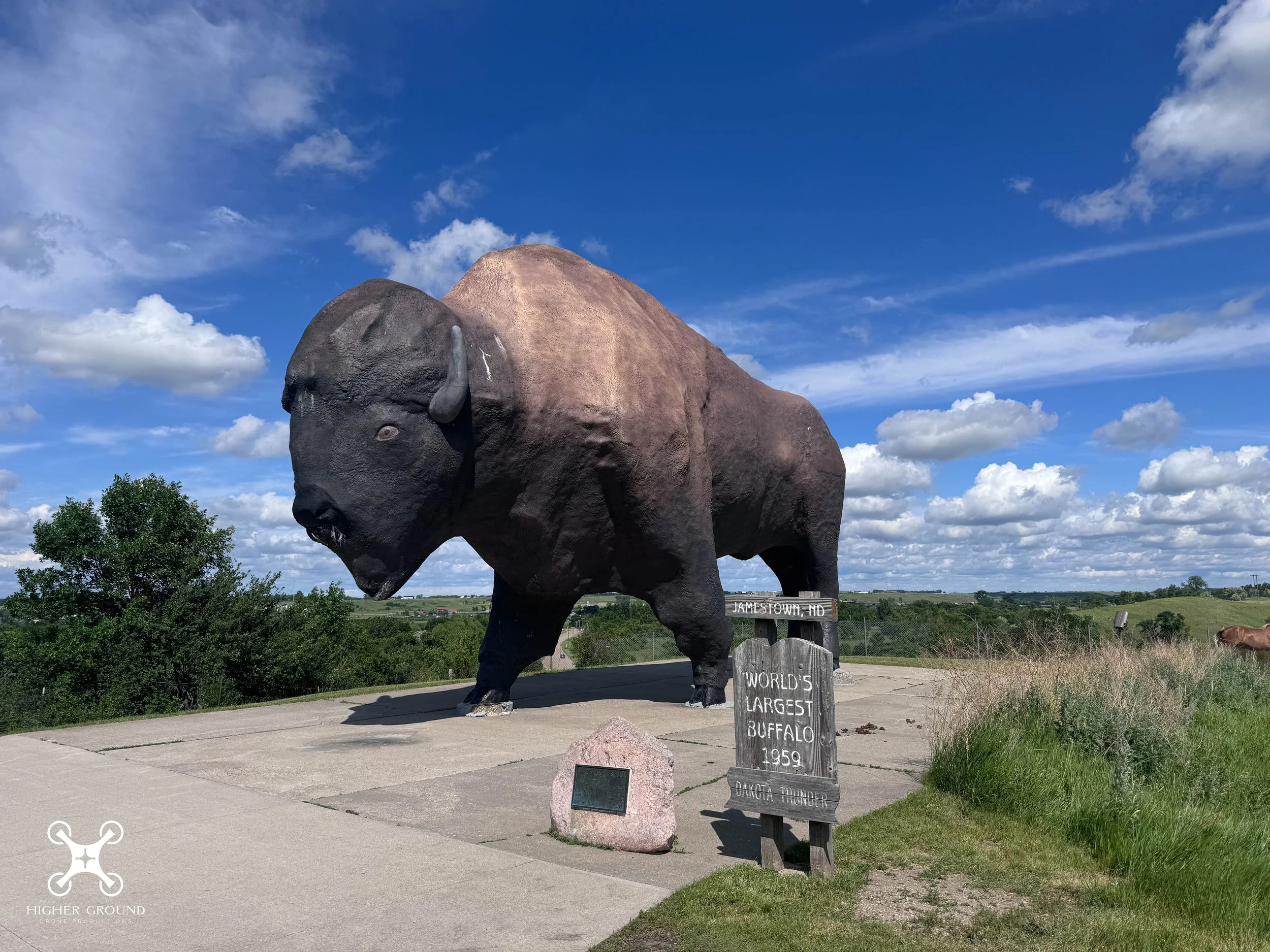 World’s Largest Buffalo