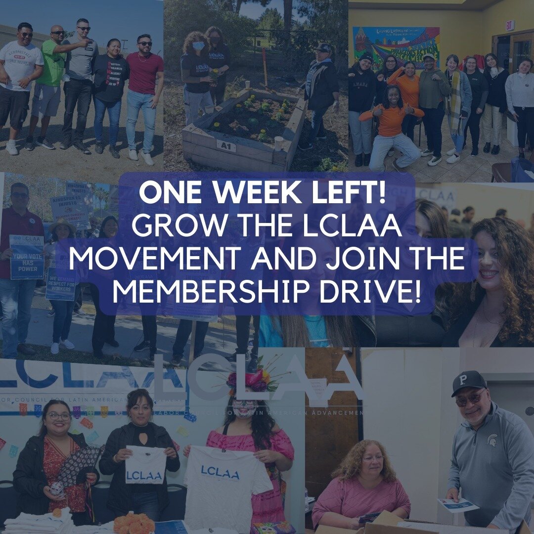 There is just 1 week left until the end of the 2024 membership drive! Enter to win LCLAA merch and full dues rebates for new members. Learn more: https://bit.ly/39ohNOP  #Latinoworkers #1u

Queda una semana para la campa&ntilde;a de membres&iacute;a 