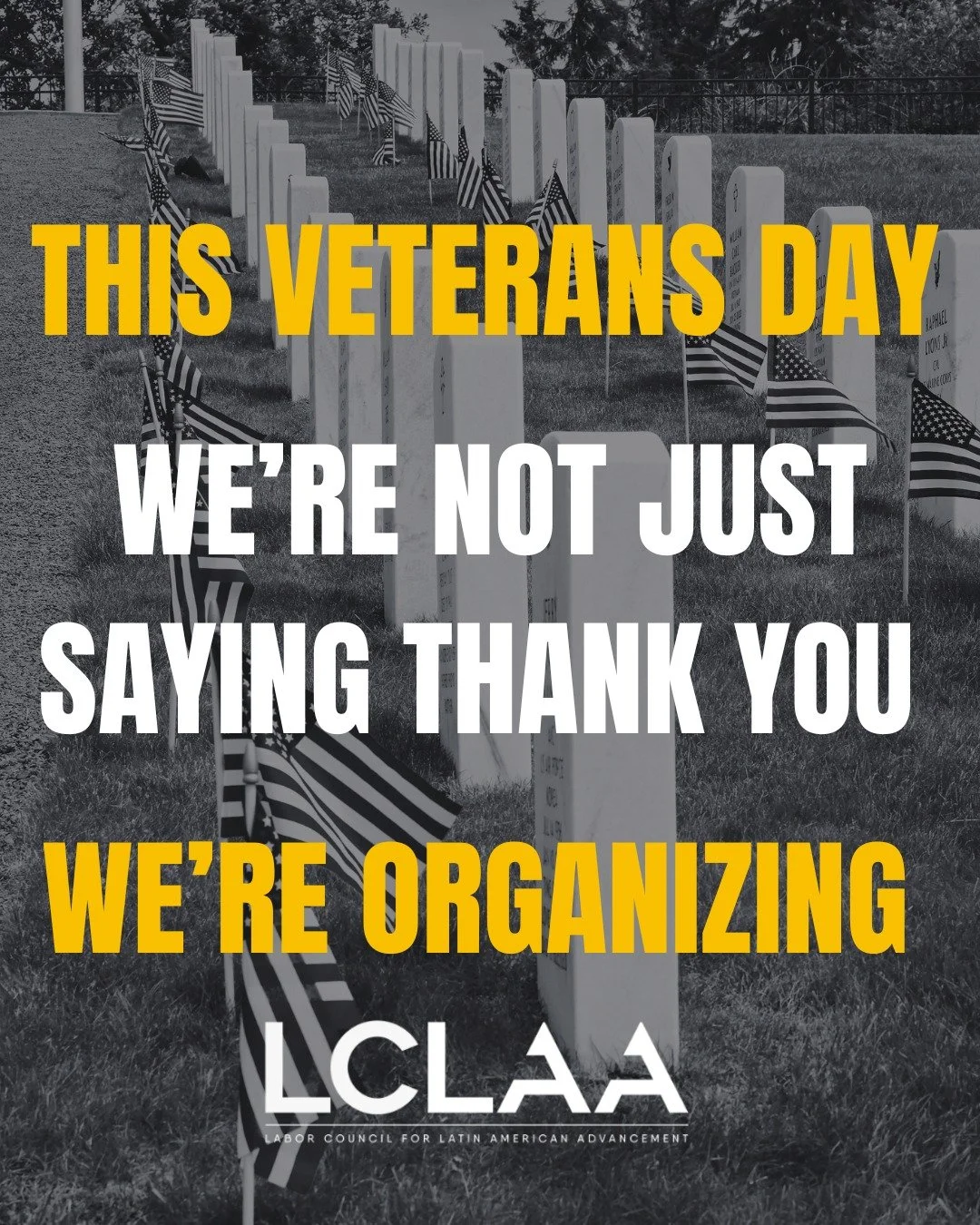 This Veterans Day, we&rsquo;re not just saying thank you&mdash;we&rsquo;re organizing. ✊ LCLAA is joining Common Defense, About Face, May Day Strong, and Public Citizen as Vets Say No to cuts to VA care, taking health care from working families, and 