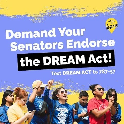 ✊🏽✊🏼Dreamers are essential members of our nation's workforce, unions, communities, and families. LCLAA proudly supports and commends the introduction of the Dream Act of 2025.

Call and Send Letters to your Senators asking them to co-sponsor this c