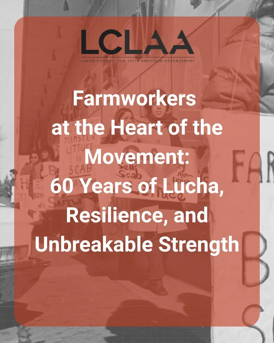 Labraron la tierra y sembraron la justicia. Durante décadas, los trabajadores agrícolas han soportado
el peso de la lucha
y han mantenido vivo el espíritu de la resiliencia, impulsando un movimiento que se niega a desaparecer. Hoy, la LCLAA rinde homenaje a su fuerza y al legado perdurable de «la lucha cam»