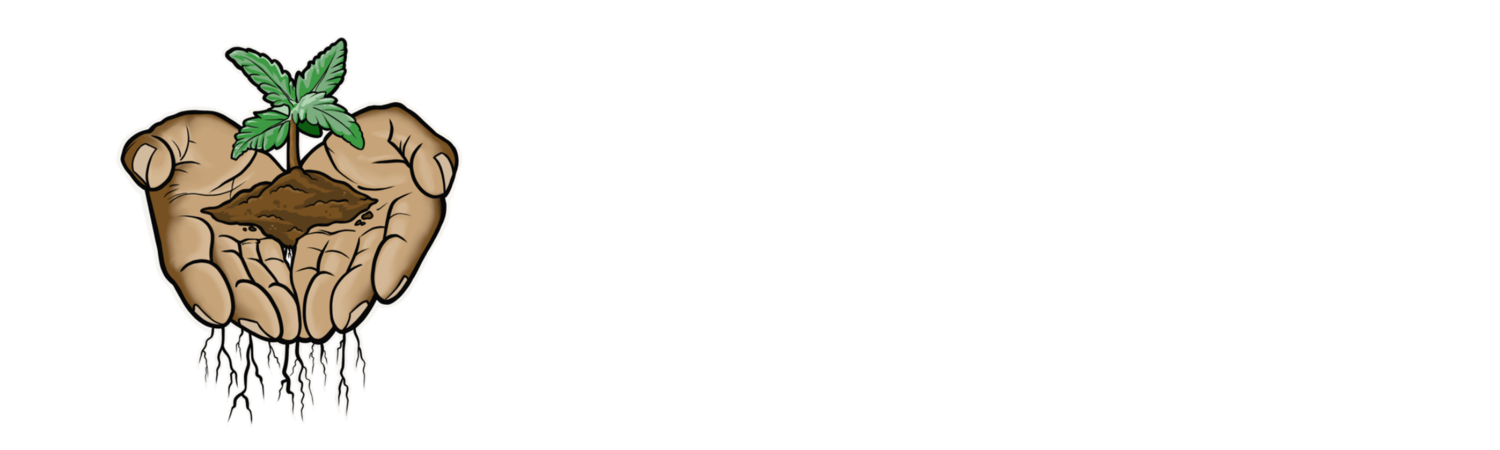 Bud Ezz, LLC