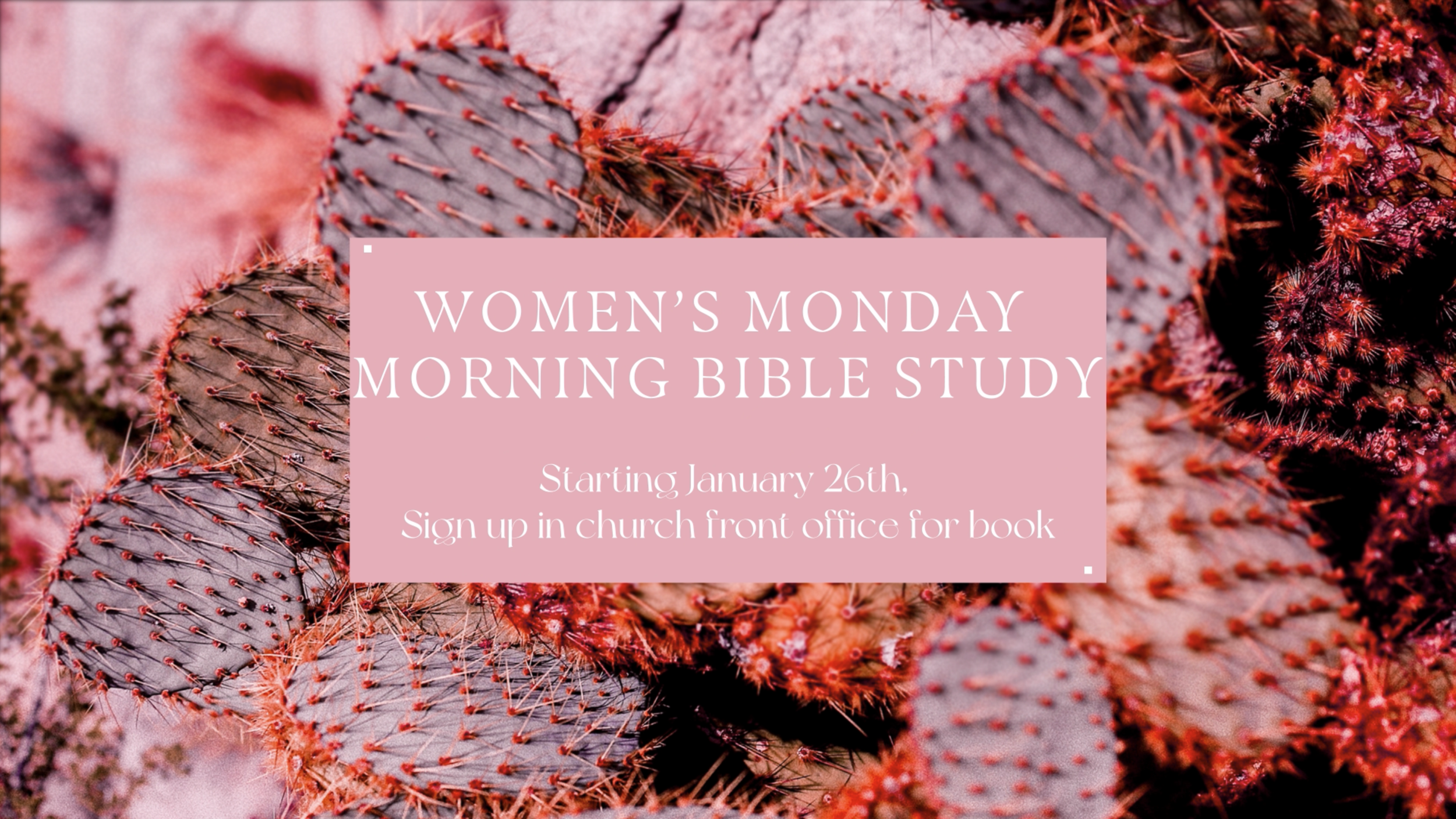 Women's Monday Morning Bible study