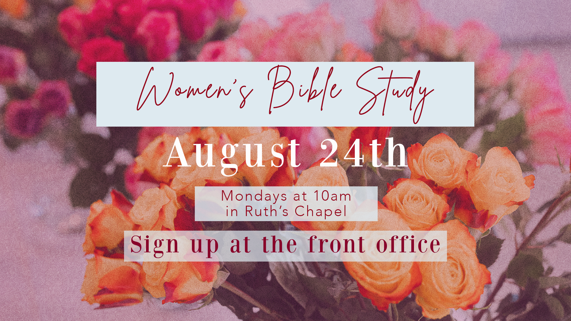 Women's Monday Morning Bible Study 