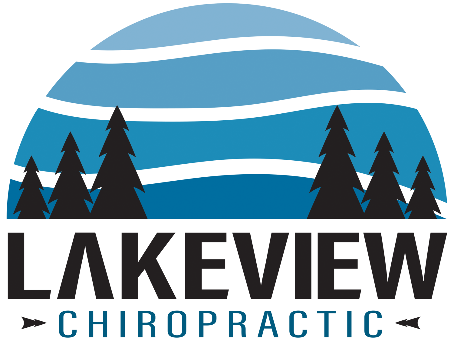 Lakeview Chiropractic 
