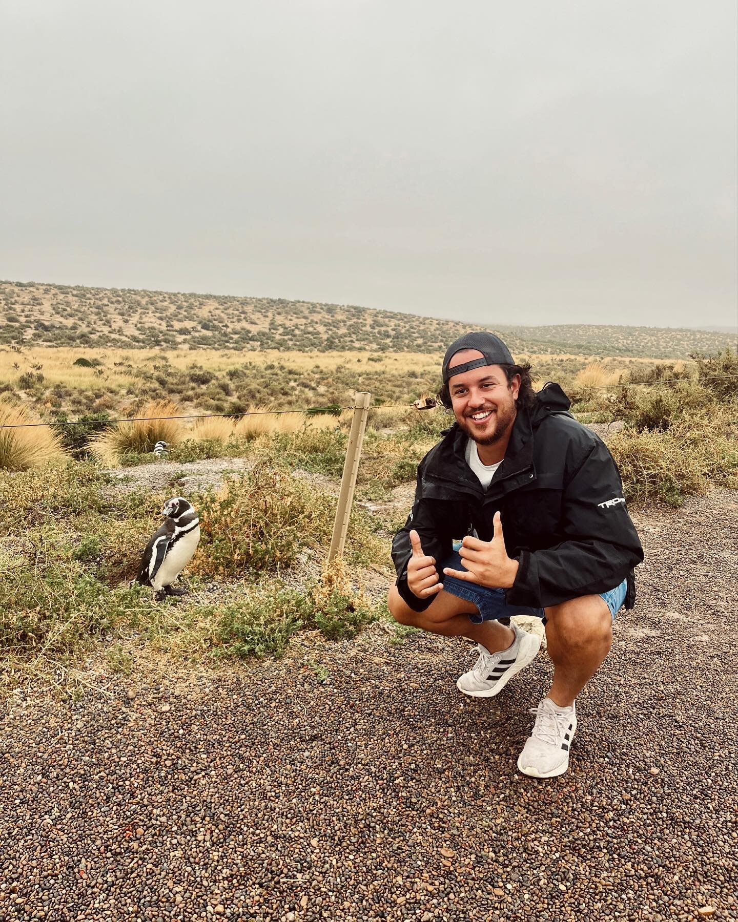 PENGUINS 🐧🥰 One of our final must-sees of our trip was to visit the Magellanic penguin colony at Punta Tombo. Almost 140k penguins live in the colony. This time of year, the babies are almost fully grown, but most were still fluffy! The mom and dad