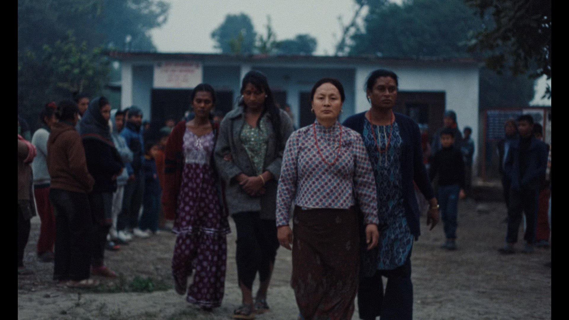 TIFF 2026: ‘Elephants in the Fog’ Review