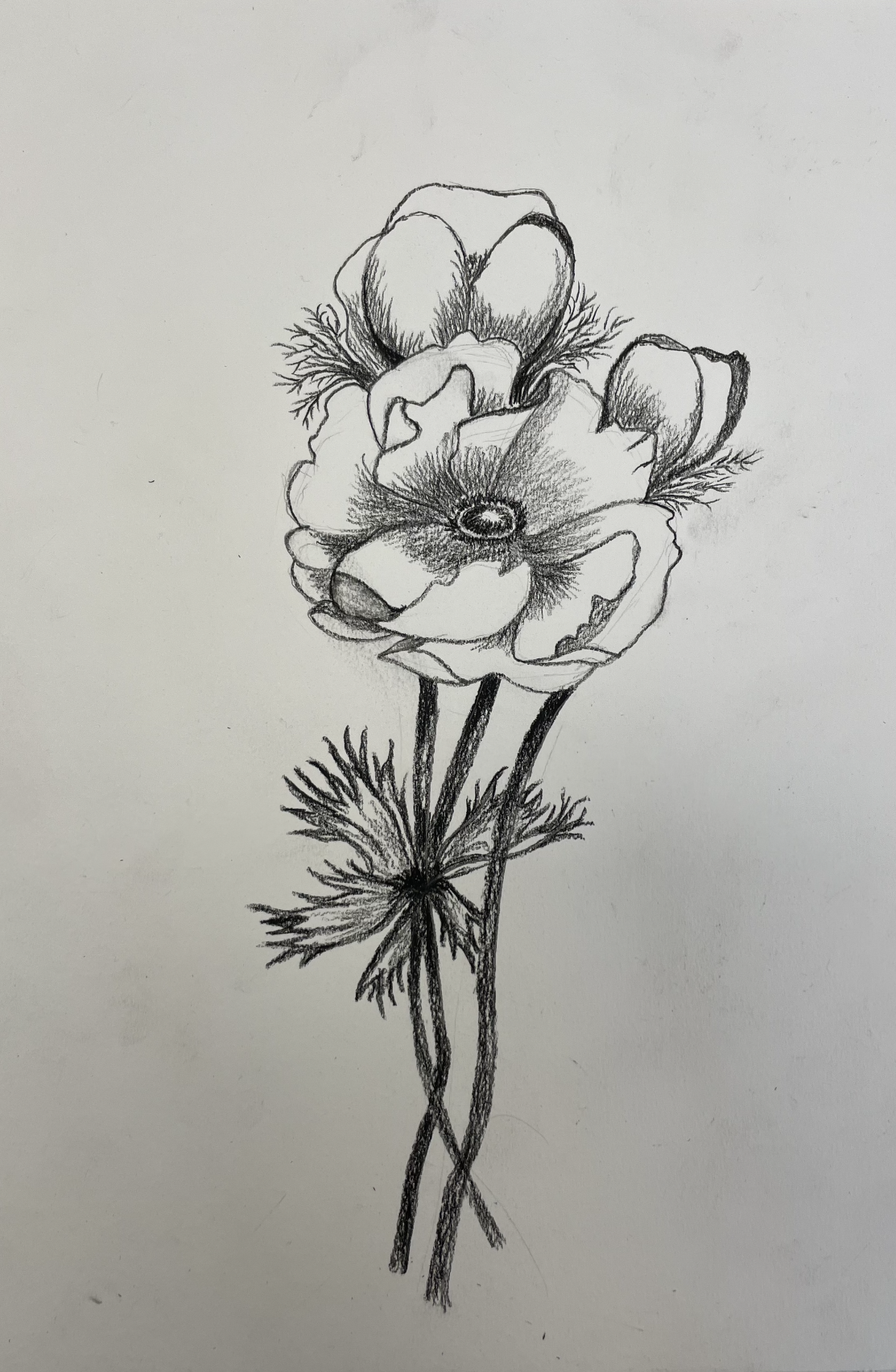 Capture d’écran 2025-11-20 à 16.51.27.png