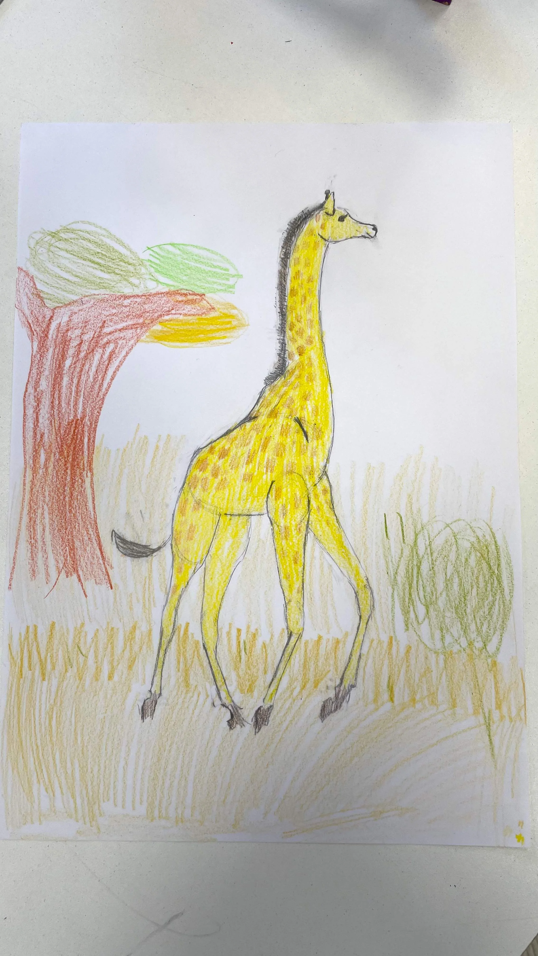 girafe.jpg