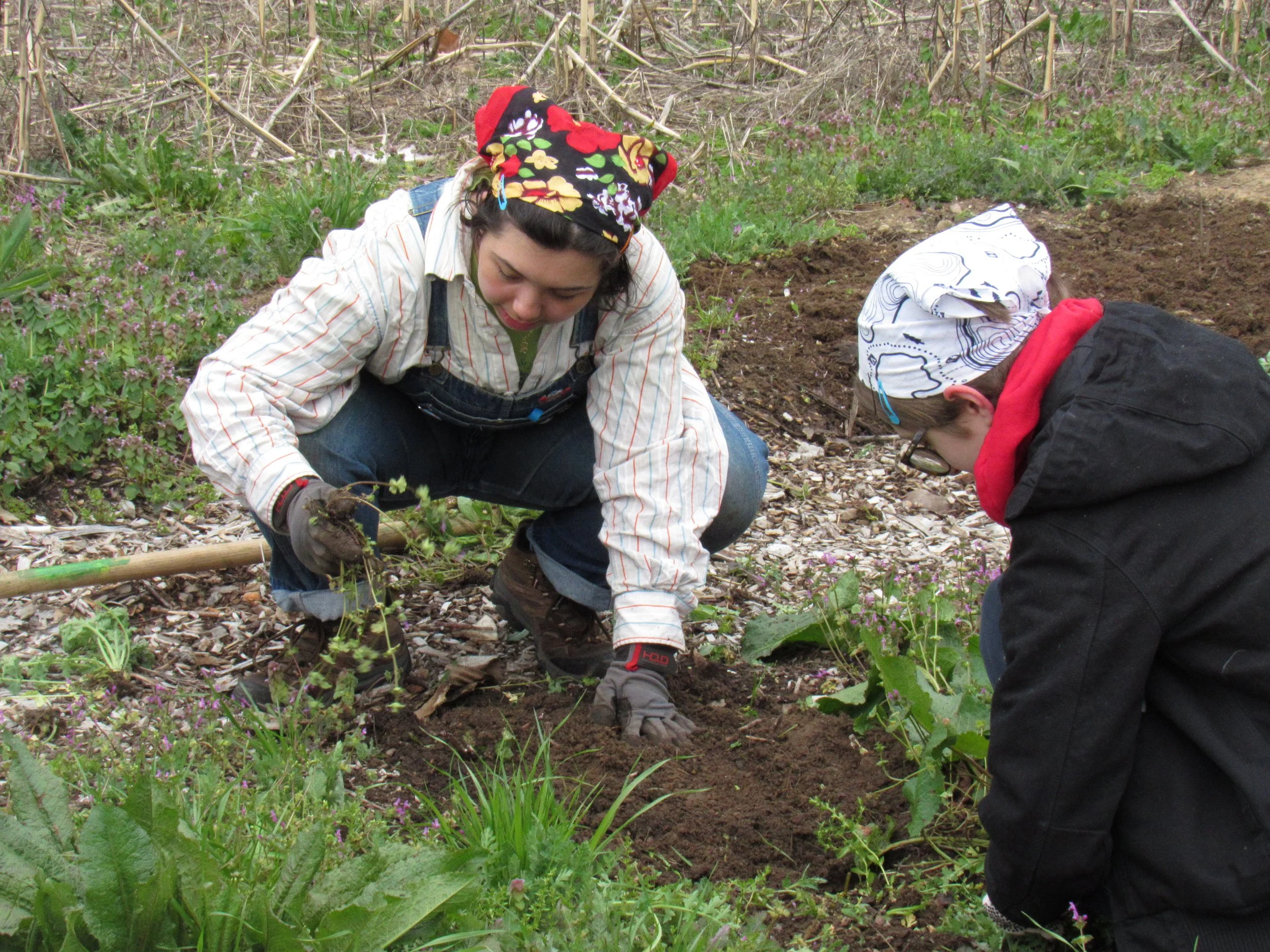  Students get their hands dirty while weeding 
