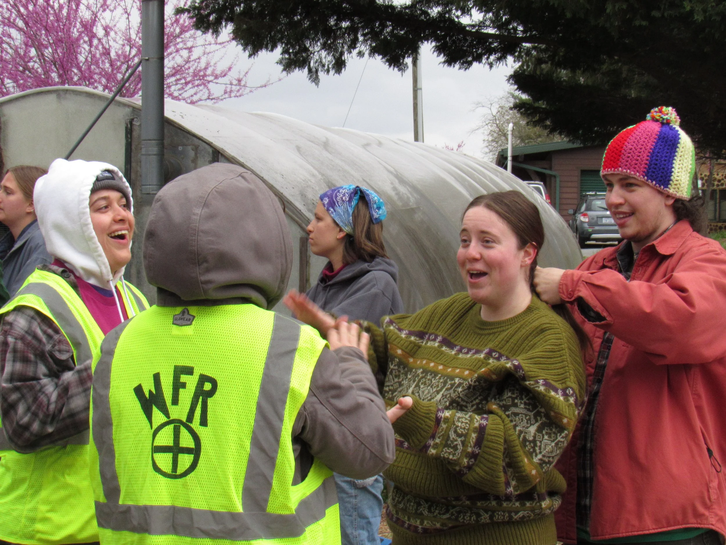 Copy of IMG_1441.JPG