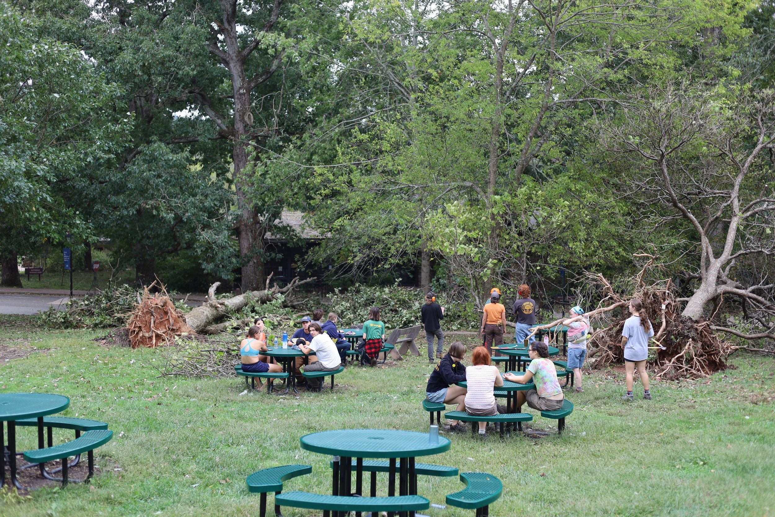  Students sitting on Cowpie Lawn next to downed trees. 
