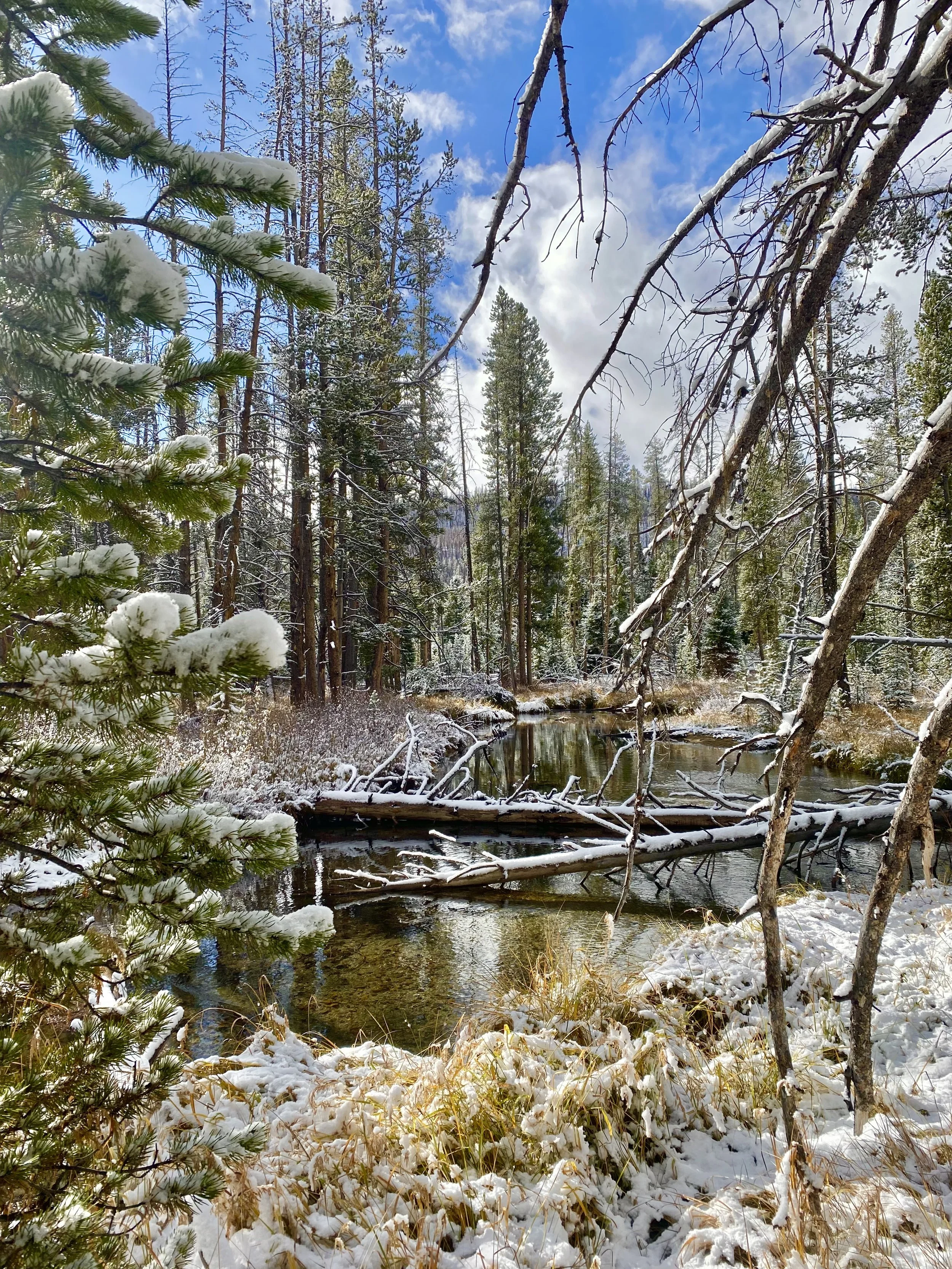  STANLEY, Idaho — Oct. 12, 2025: Fishhook Creek winds through the snowy Sawtooth National Forest near Stanley, Idaho. (Vivian Bryan/Echo) 