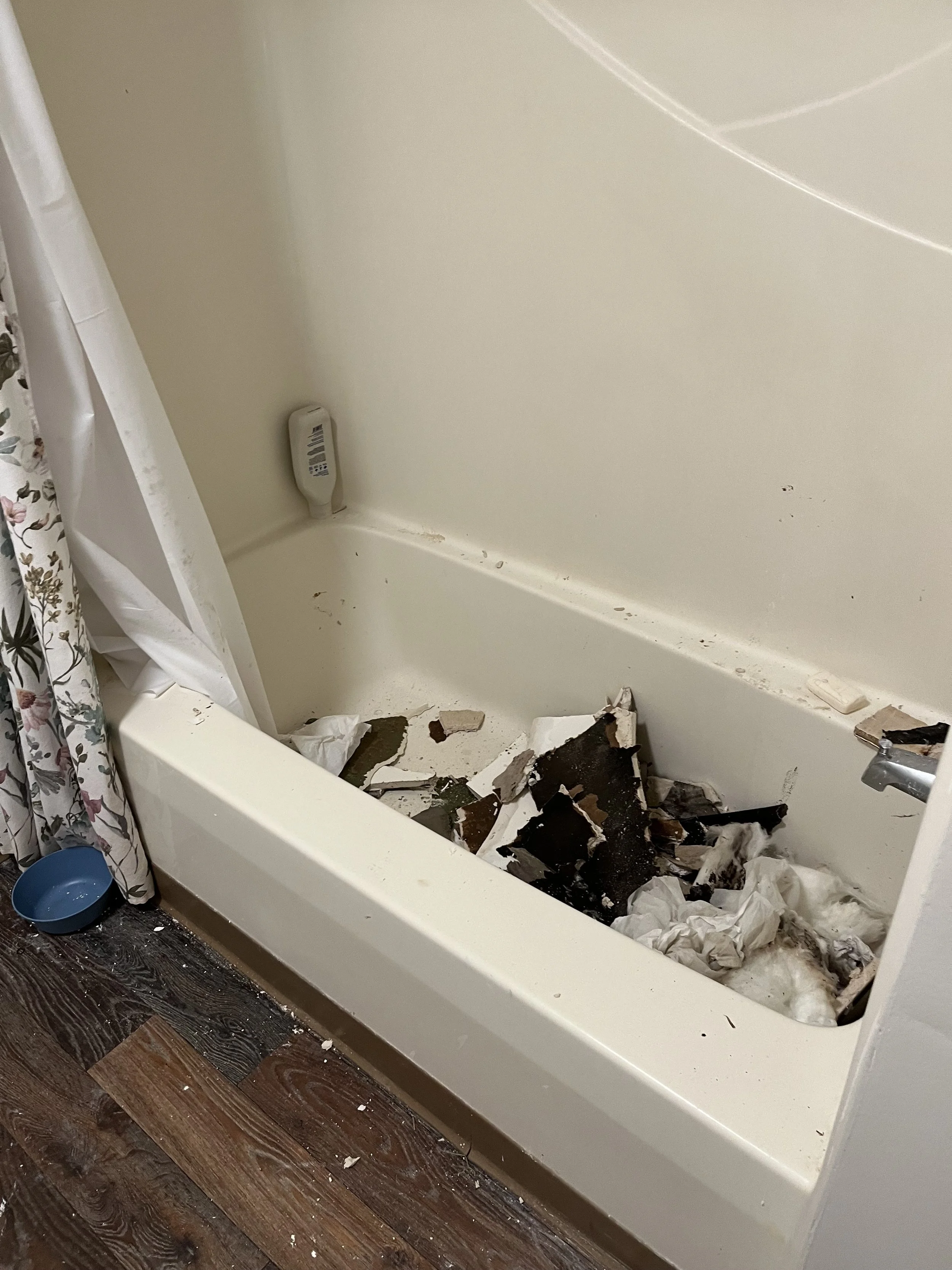  Debris from mold remediation were left in Lienemann’s bathroom in the Villages B dormitory at Warren Wilson College (WWC) after mold was discovered in September. (Allison Lienemann) 