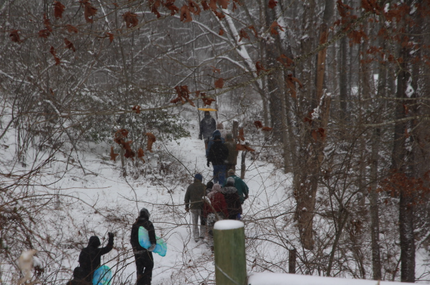 Surviving Winter Brain Fog