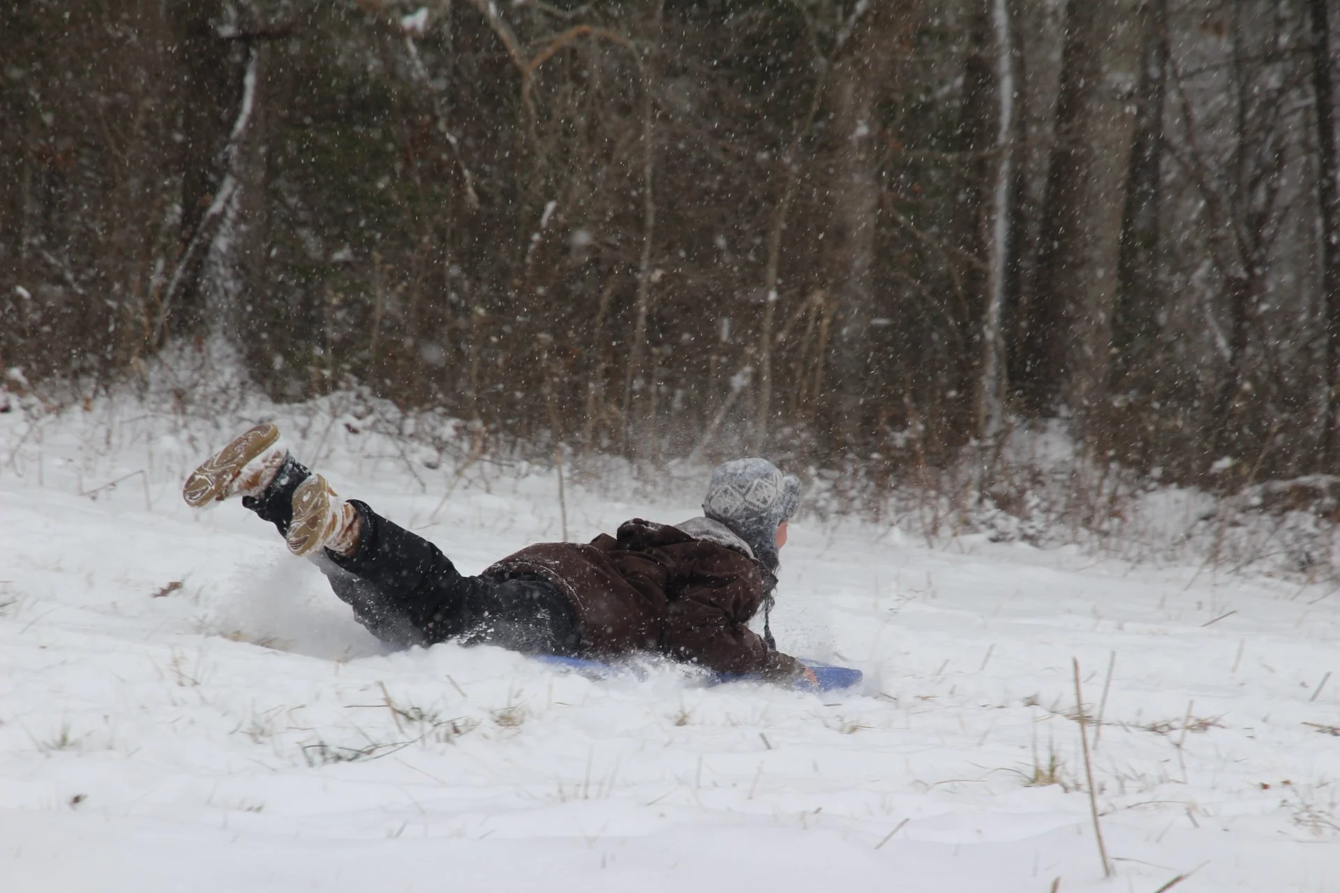  A Warren Wilson College student sleds down the slopes at Dogwood Pasture in Swannanoa, N.C., Jan. 31, 2025. (Vivian Bryan/Echo) 