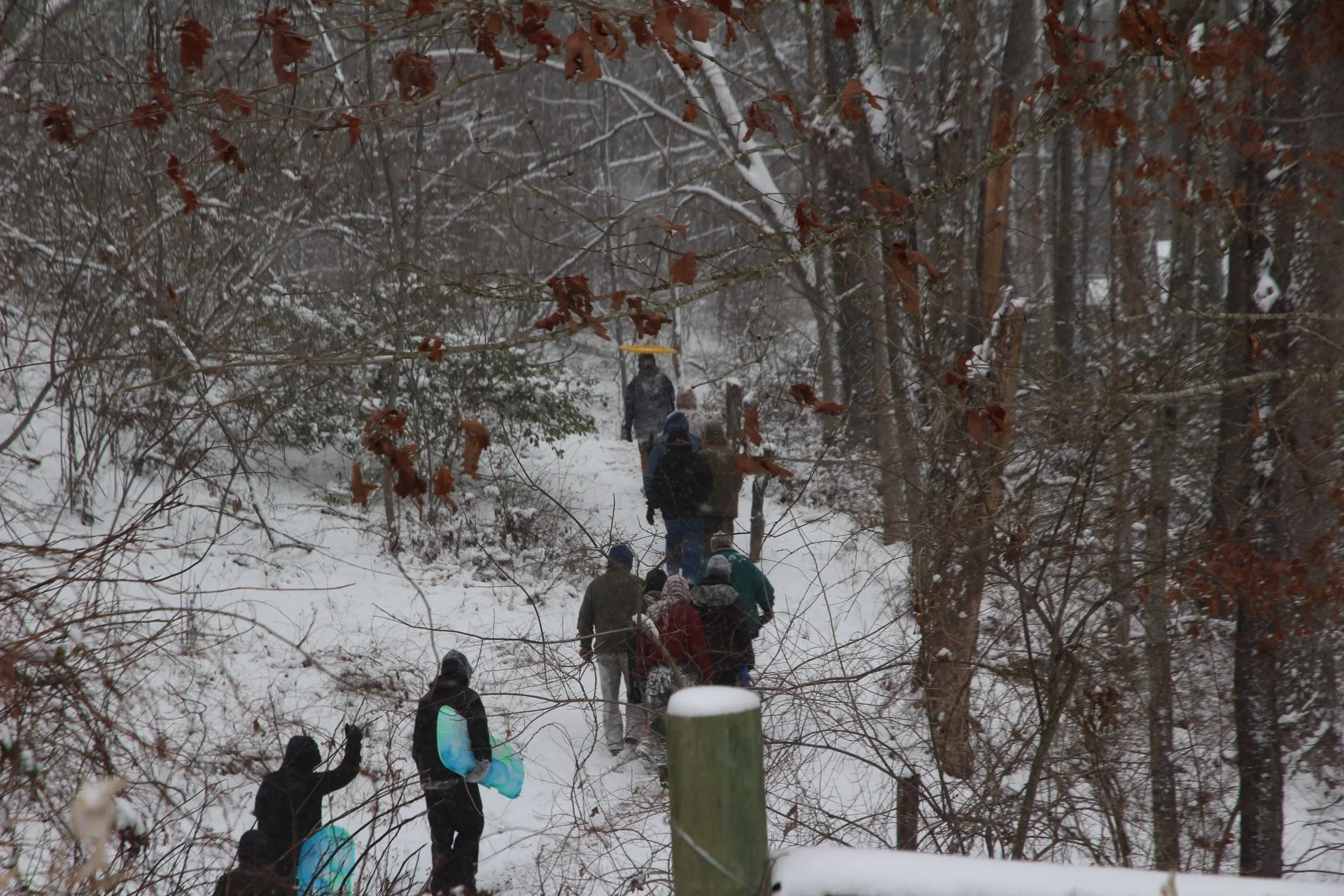  Groups of Warren Wilson College students hike snowy forest trails around Dogwood Pasture in Swannanoa, N.C., Jan. 31, 2026. (Vivian Bryan/Echo) 