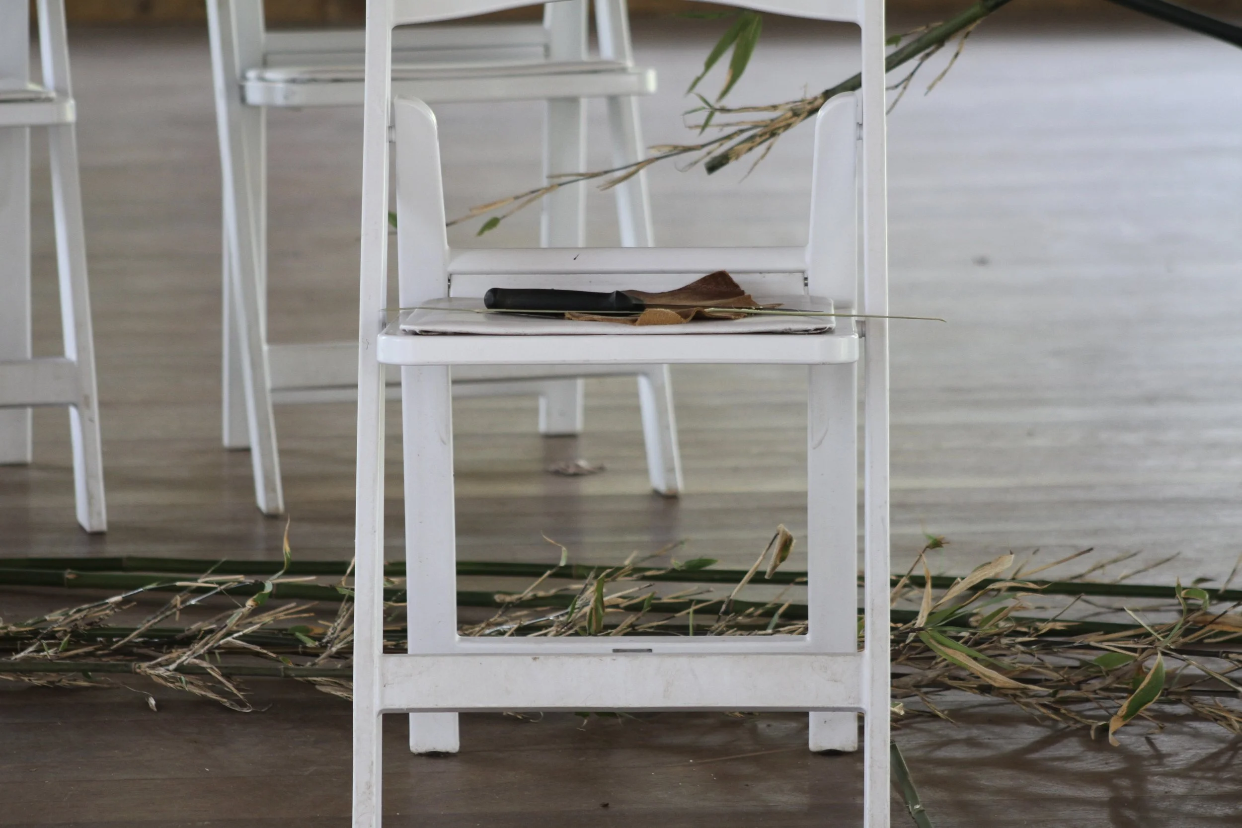  Hand tools sit above a pile of river cane harvested by artist Betty Maney at Warren Wilson College in Swannanoa, N.C., on March 25, 2026. (Vivian Bryan/Echo News) 