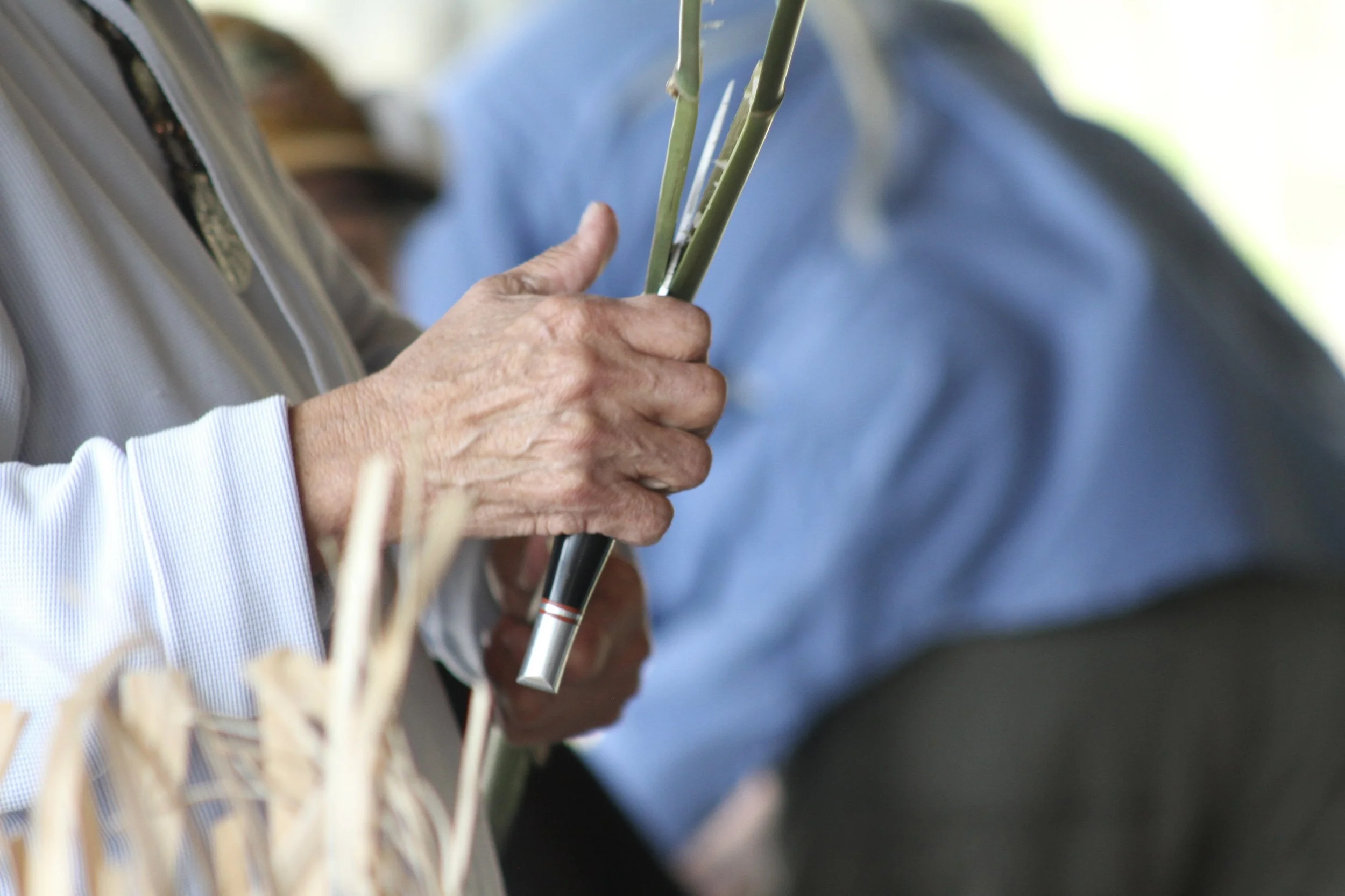  Mary Thompson using hand knife to split river cane during workshop at Warren Wilson college in Swannanoa NC March 26 (Vivian Bryan/Echo)&nbsp; 