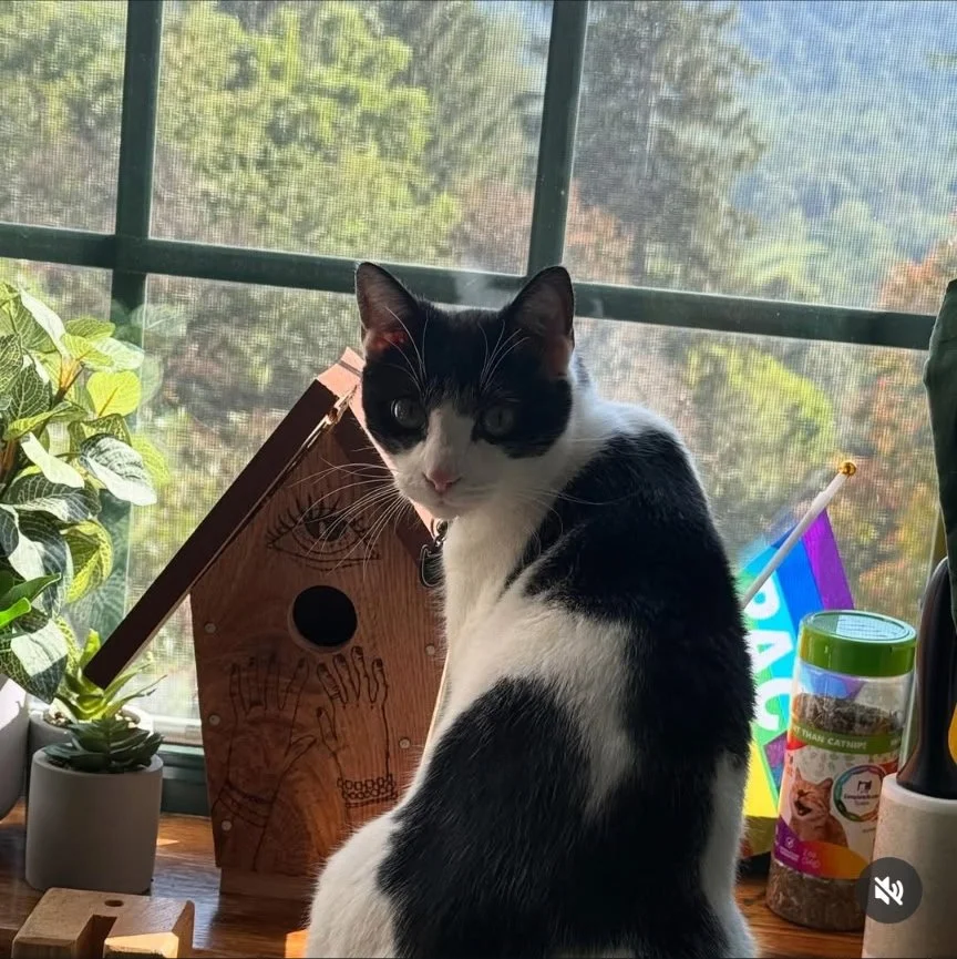 Wilson Critters Weekly 4/7