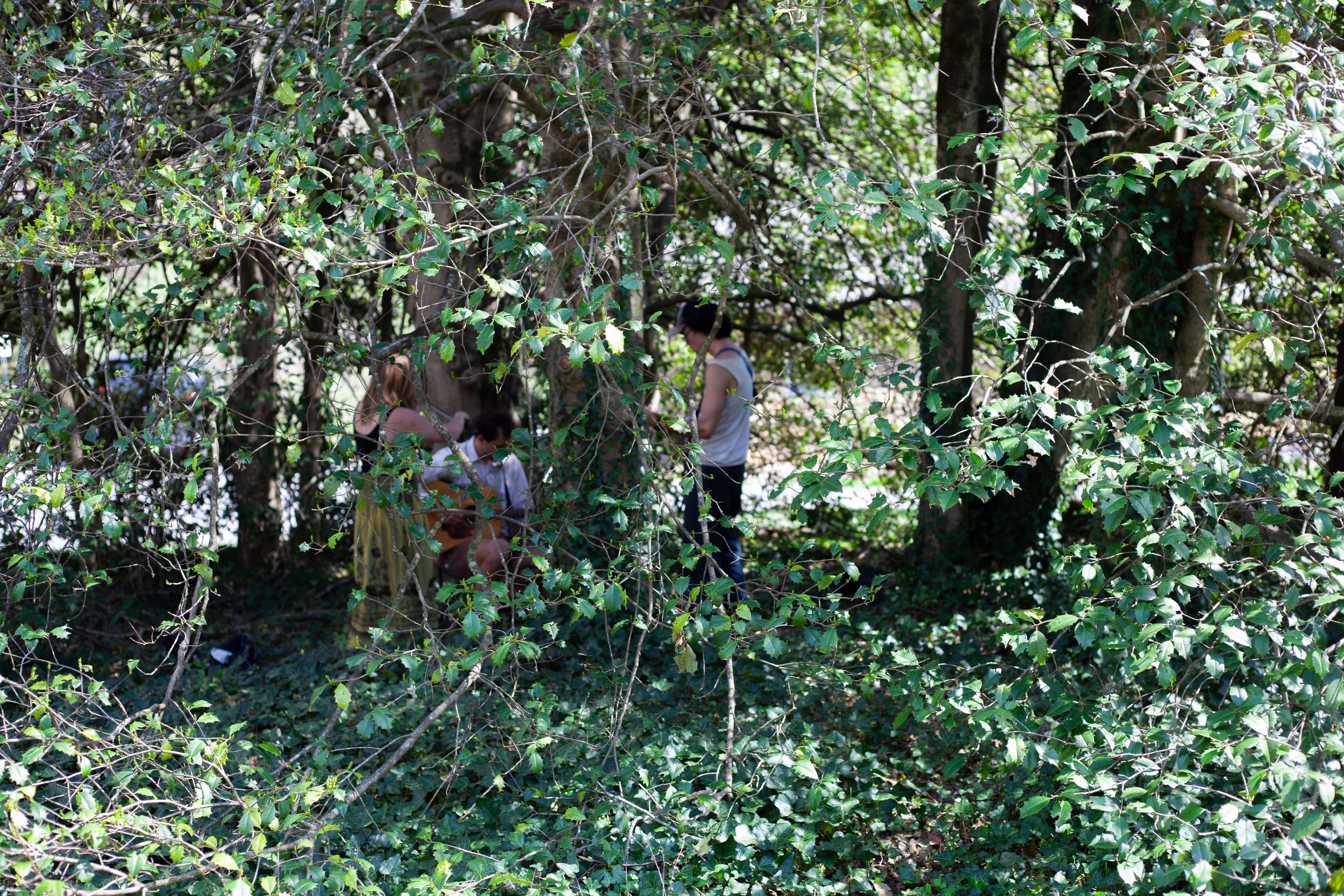  Students and community members gather at Fiddles and Folklife, a fiddlers convention and festival celebrating traditional music and craft at Warren Wilson College on, April 11, 2026 in Swannanoa, N.C. (Echo/Emma Taylor McCallum) 