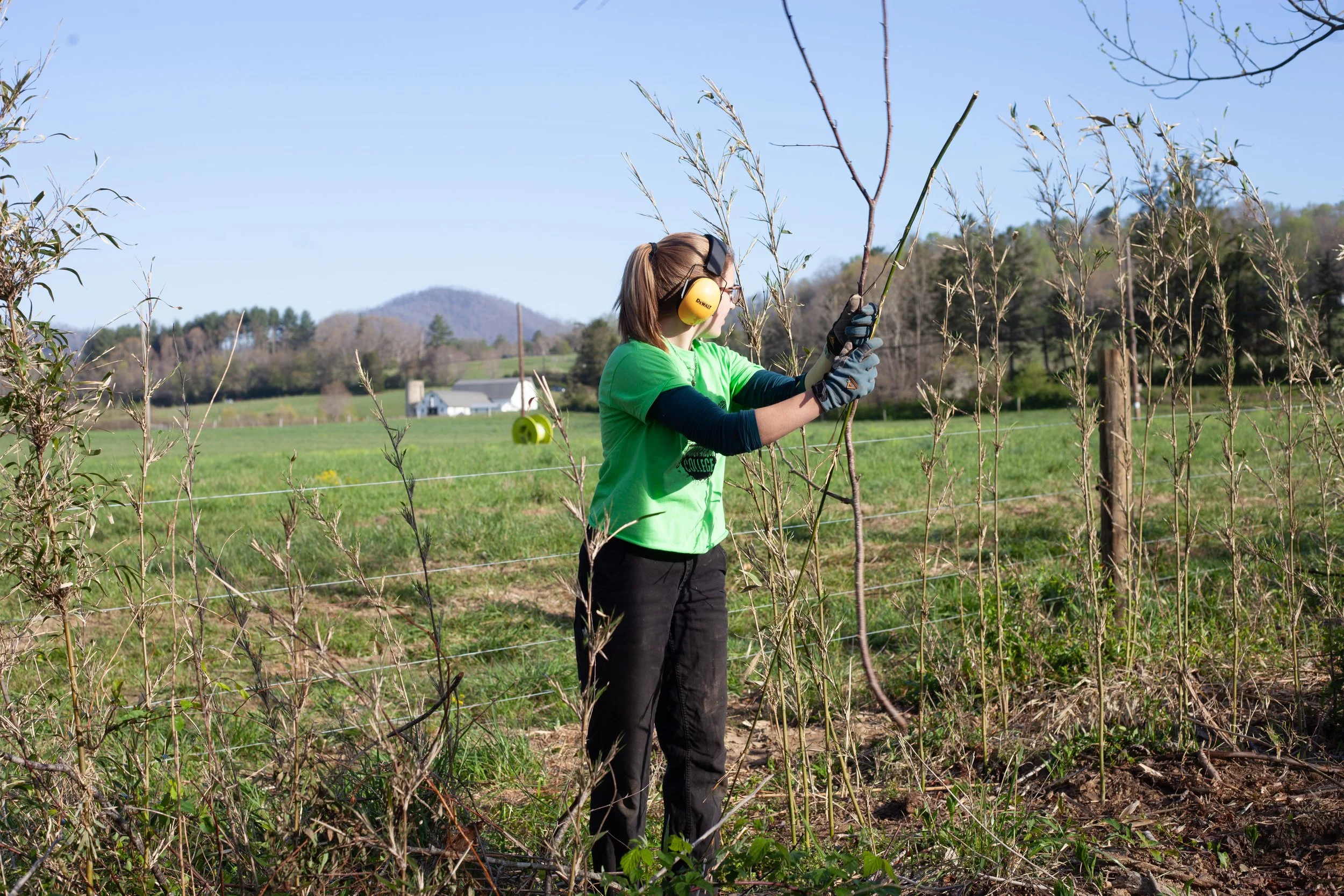 Students work to maintain outdoor spaces at Warren Wilson College (WWC) on Thursday, April 9, in Swannanoa, N.C. (Echo/Vivian Bryan)