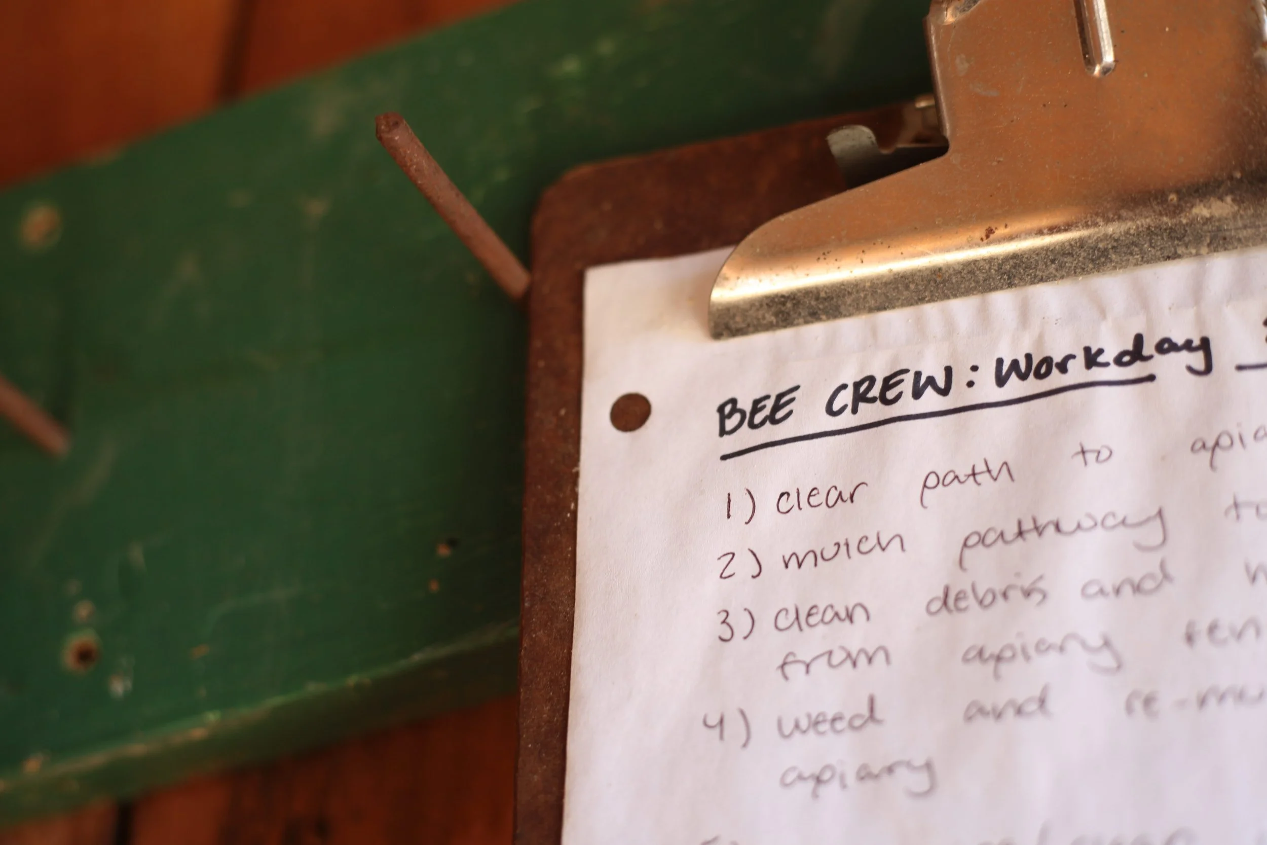  Checklist for the Bee Crew at Warren Wilson College on Feb 16, 2026 in Swannanoa, N.C. (Echo/Emma Taylor McCallum) 