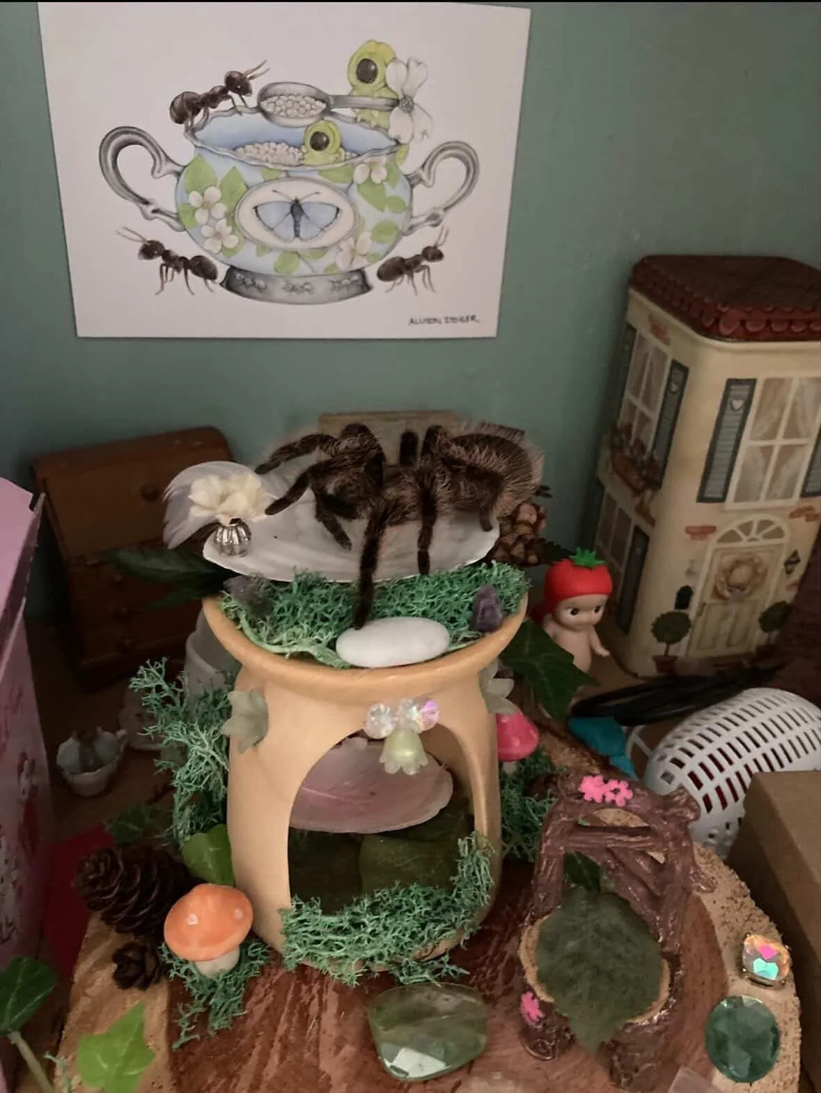 Maud and Marfil hanging out in their enclosures (Salem Plourde)