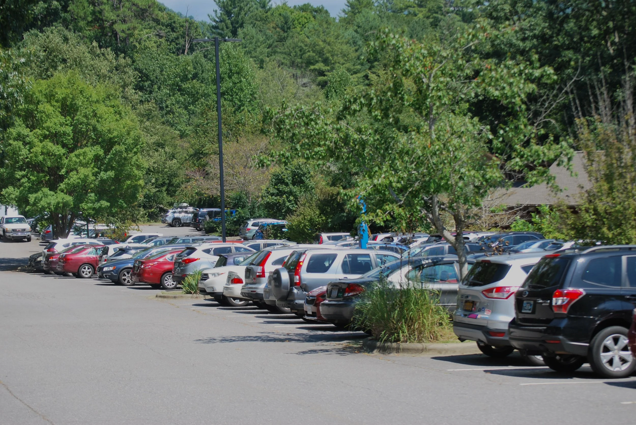 To Park or Not to Park?
