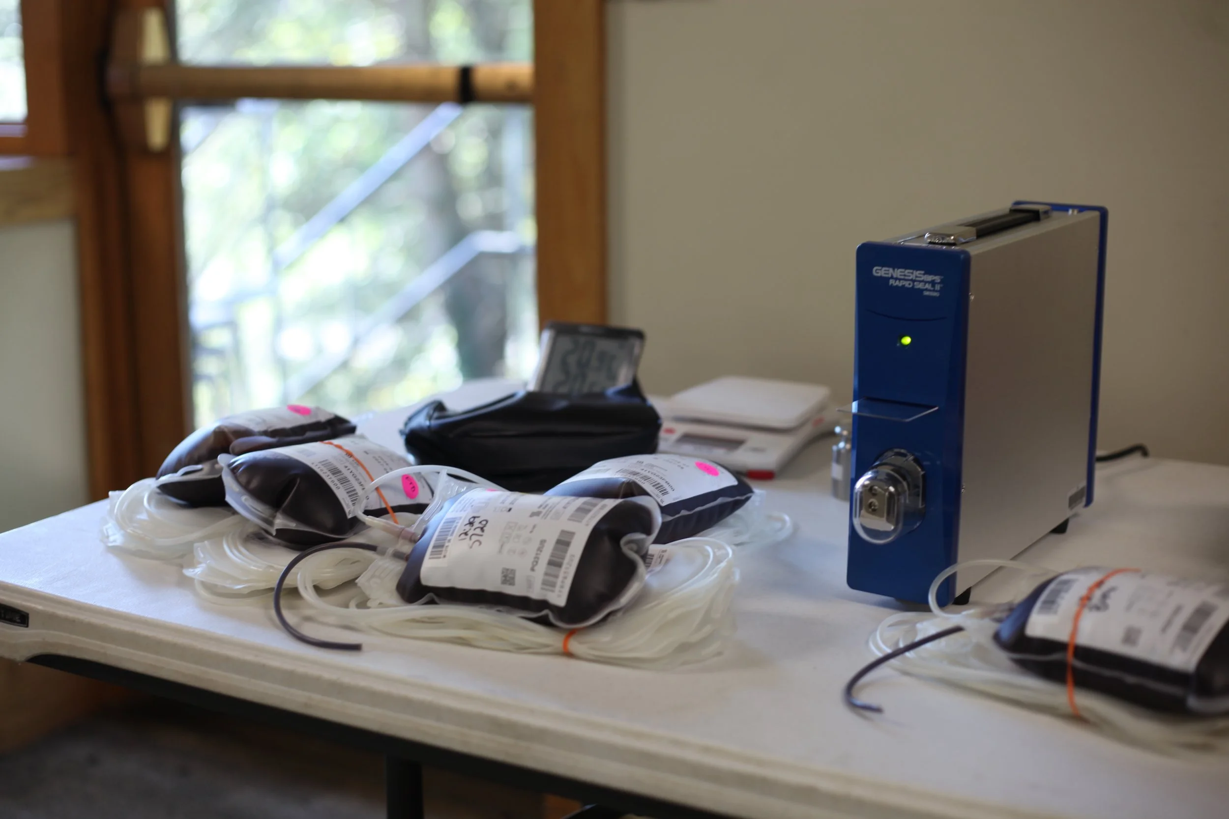 Red Blood, Rewards, and Regulations: Blood Donation and Its Incentives at WWC