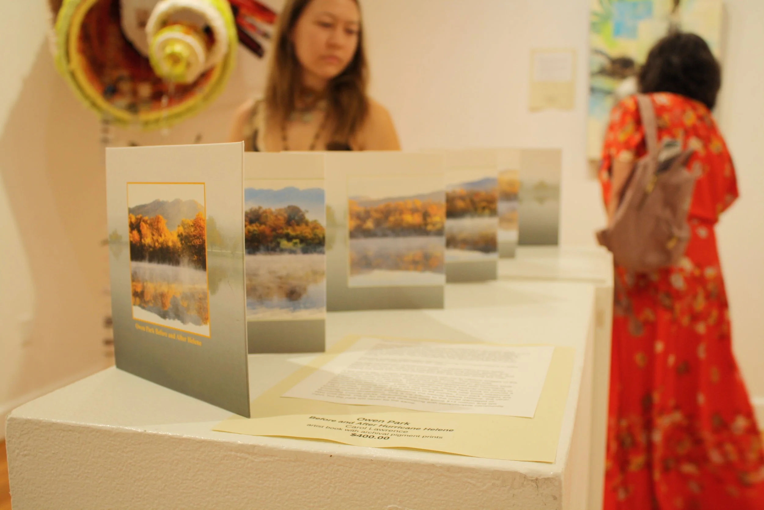 Contemplating Helene: The Art Community Reflects Two Years After the Storm 
