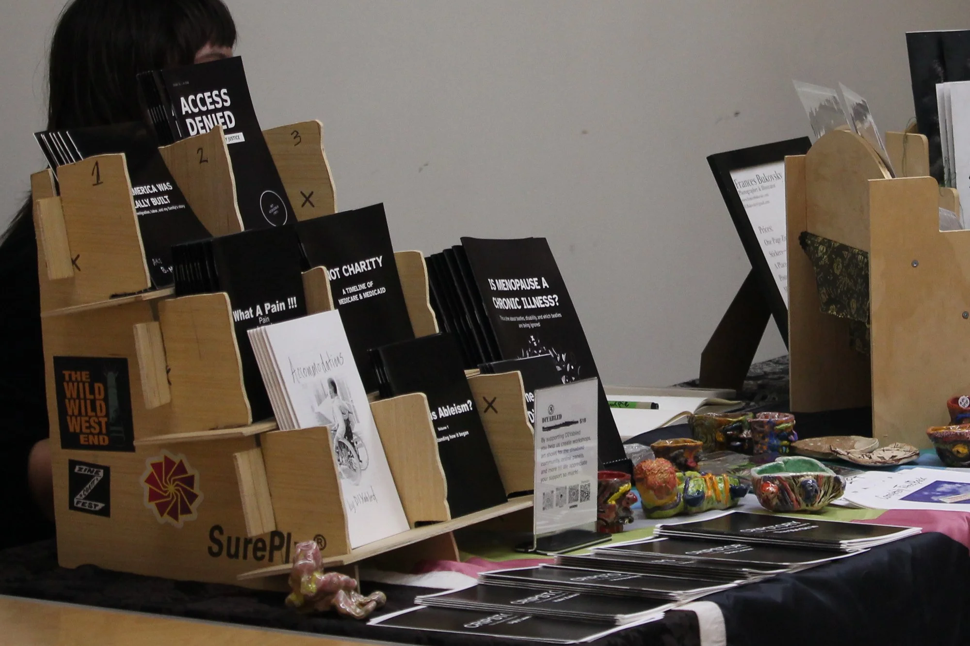  DIYabled’s booth, featuring zines centered around disability justice and awareness. Asheville, N.C.,Saturday Sept. 26, 2026. (Echo News/Wyatt Layton) 