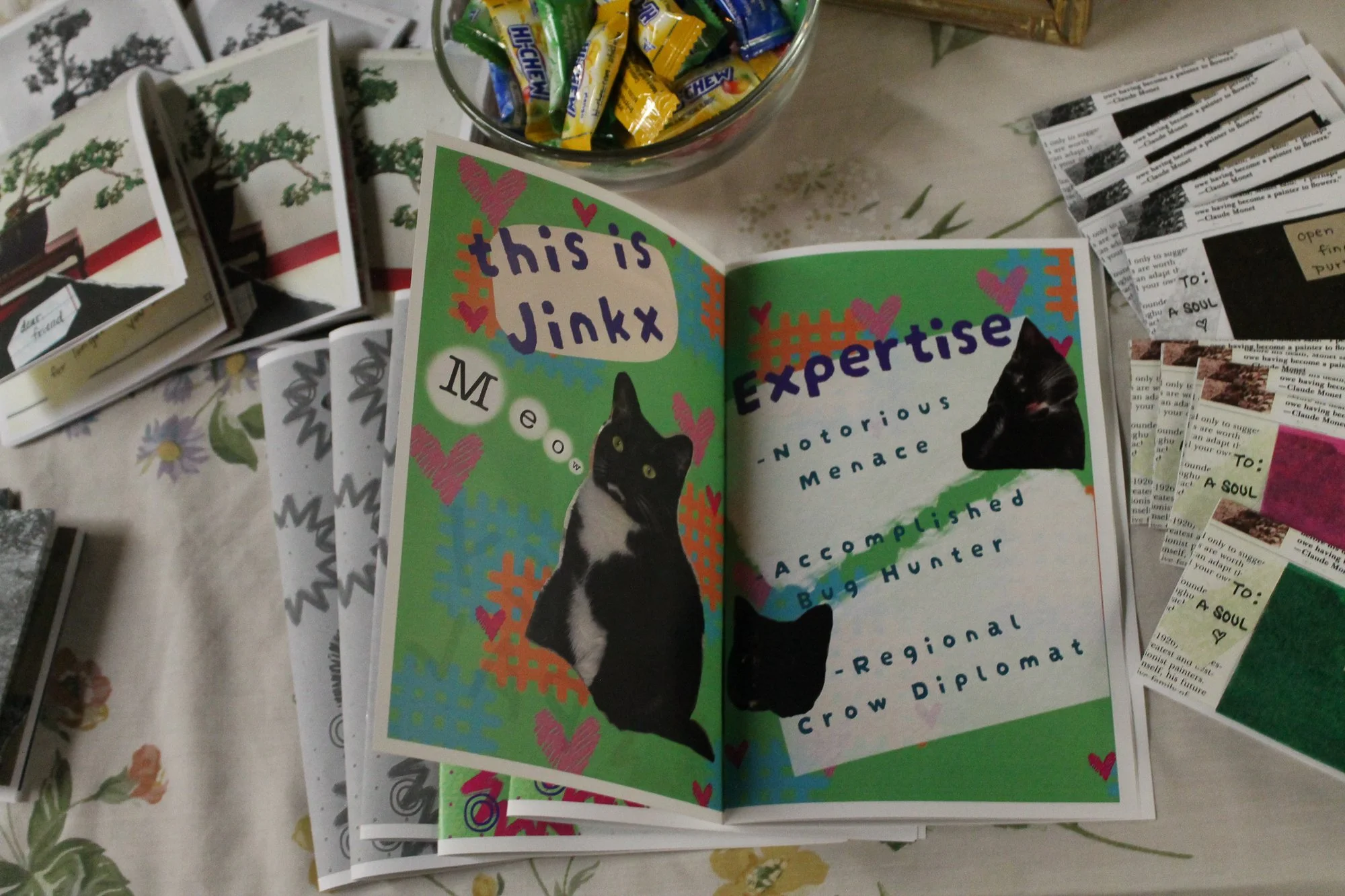  One of artist Dear.Stranger’s zines for sale, all about their cat Jinkx (named after drag queen Jinkx Monsoon) at Zine Fest in Asheville, N.C.,Saturday Sept. 26, 2026. (Echo News/Wyatt Layton) 