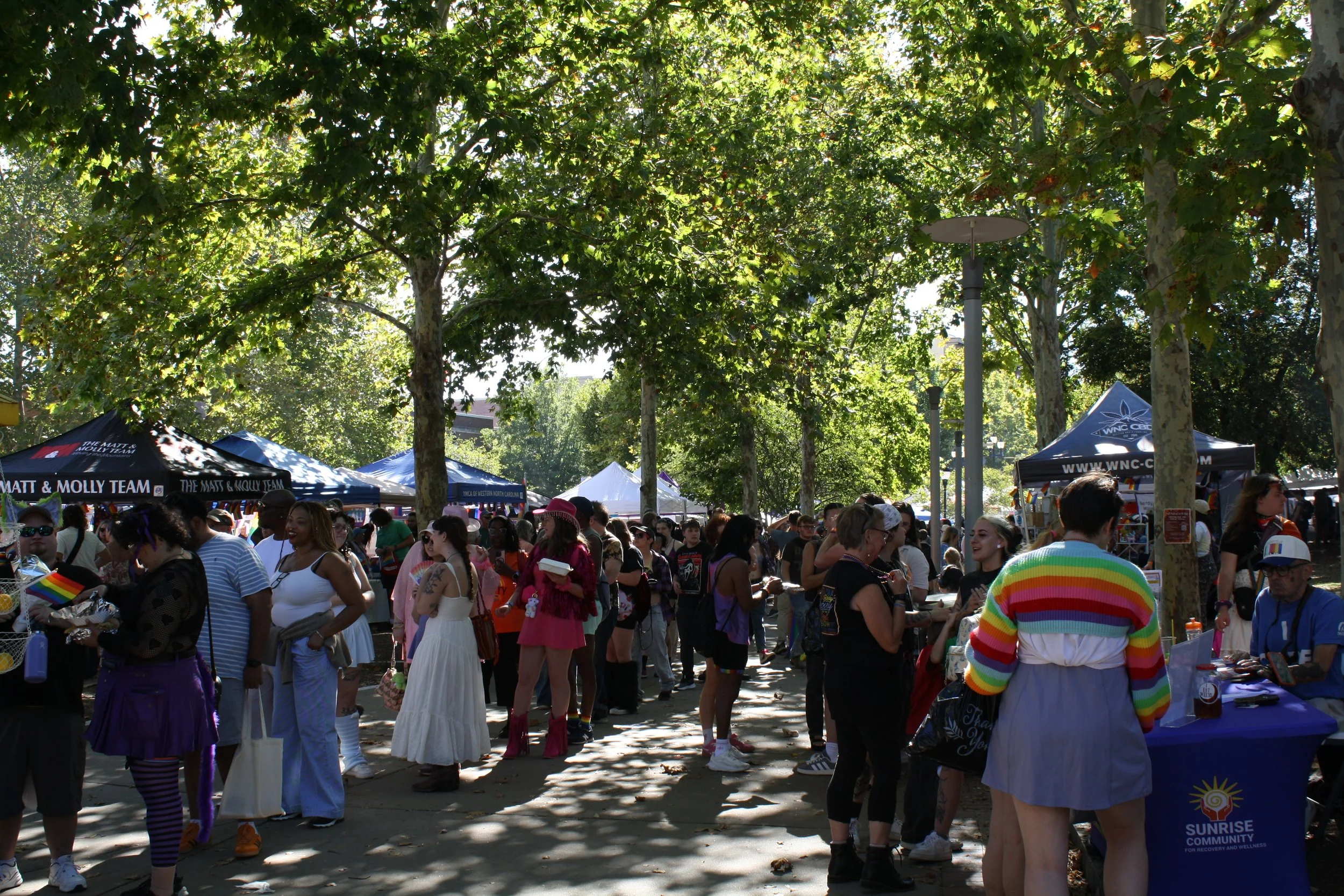  A tree-lined walk in Pack Square Park filled with festival goers during Blue Ridge Pride on Sep. 26, 2026. Asheville, N.C. (Echo/Emma Taylor McCallum) 