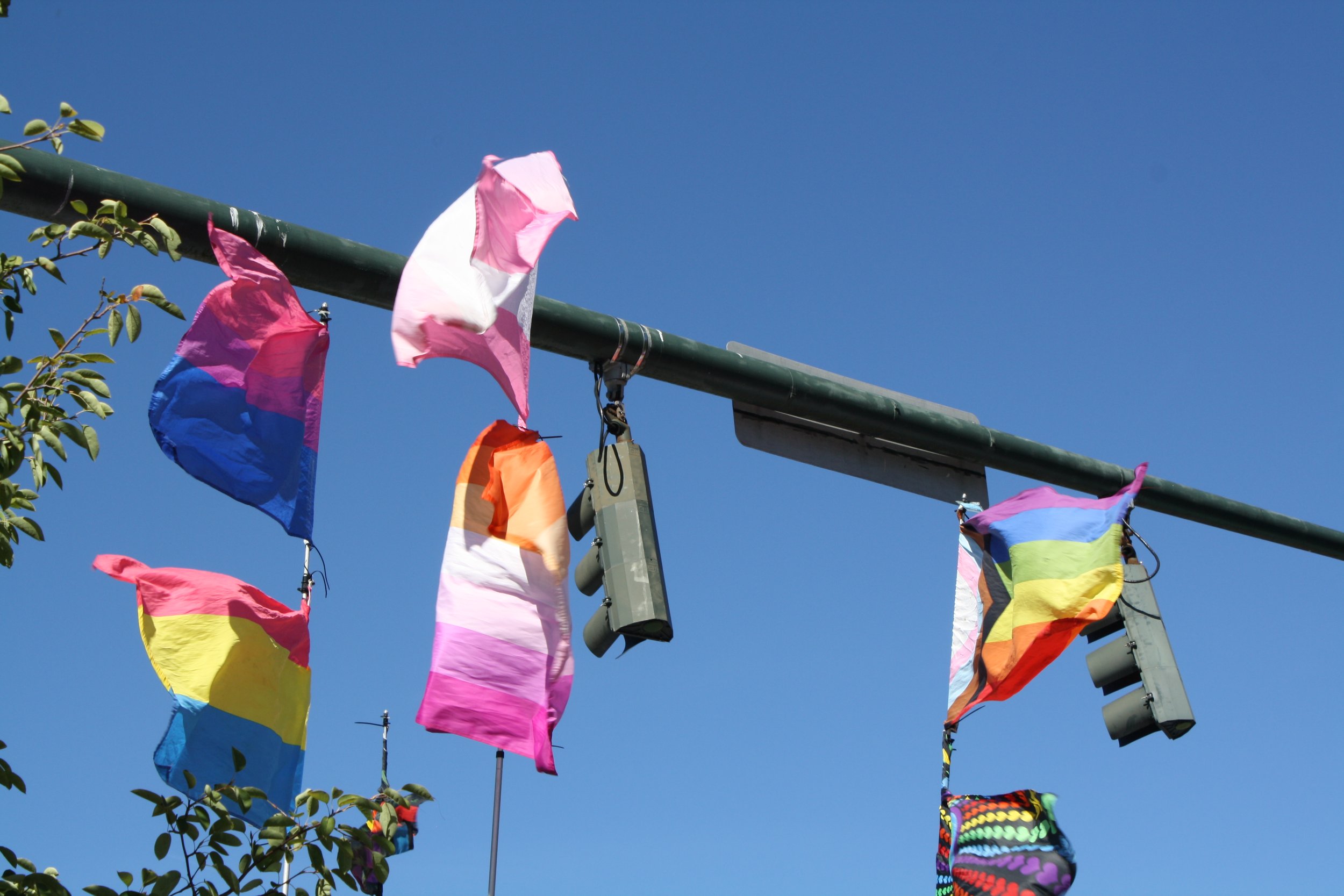  An assortment of pride flags fly in the wind at Blue Ridge Pride on Sep. 26, 2026 in Pack Square Park in Asheville, N.C. (Echo/Emma Taylor McCallum) 