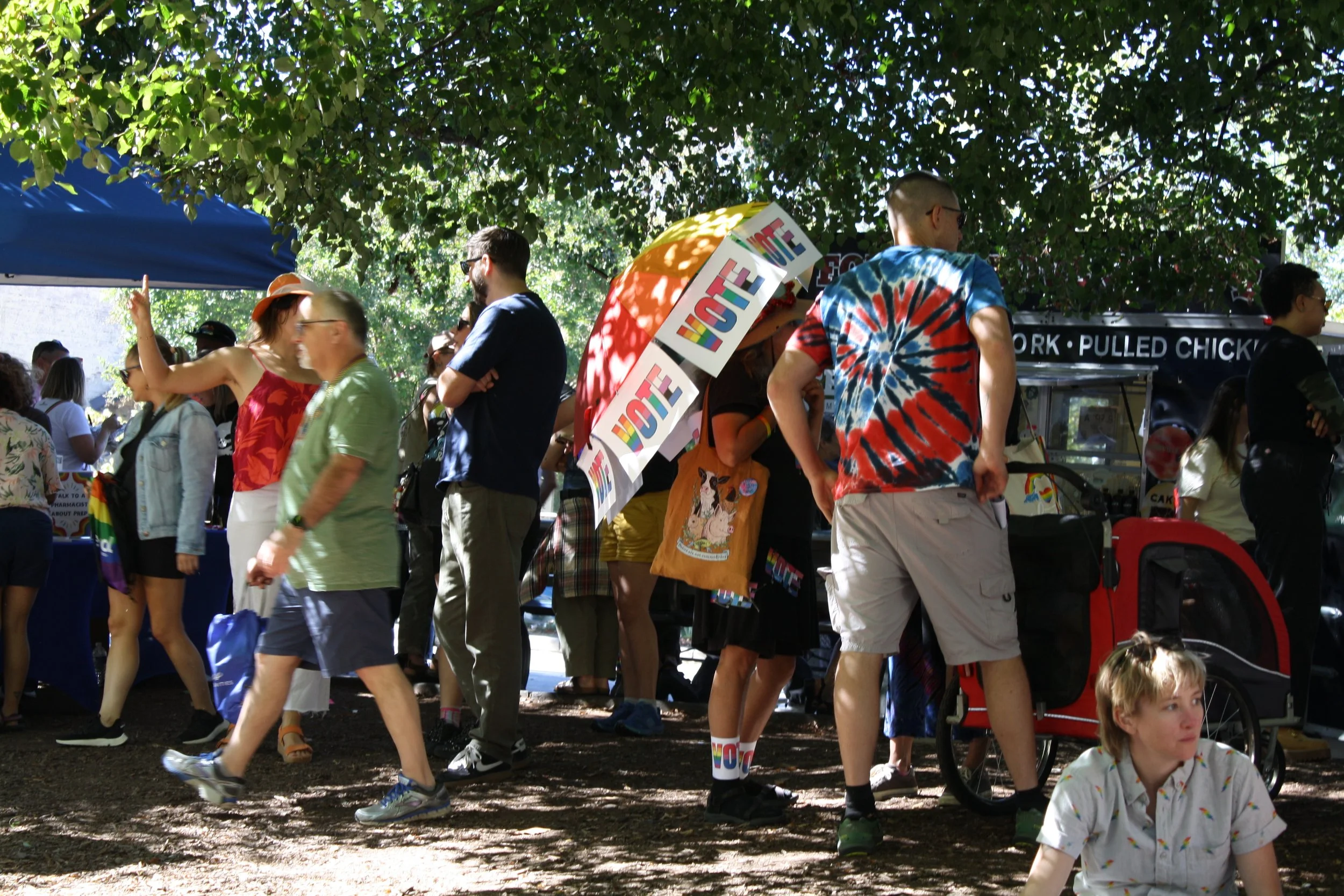  An attendee of the Blue Ridge Pride Festival holds an umbrella covered in signs with the word “VOTE” on Sep. 26, 2026 in Pack Square Park in Asheville, N.C. (Echo/Emma Taylor McCallum) 