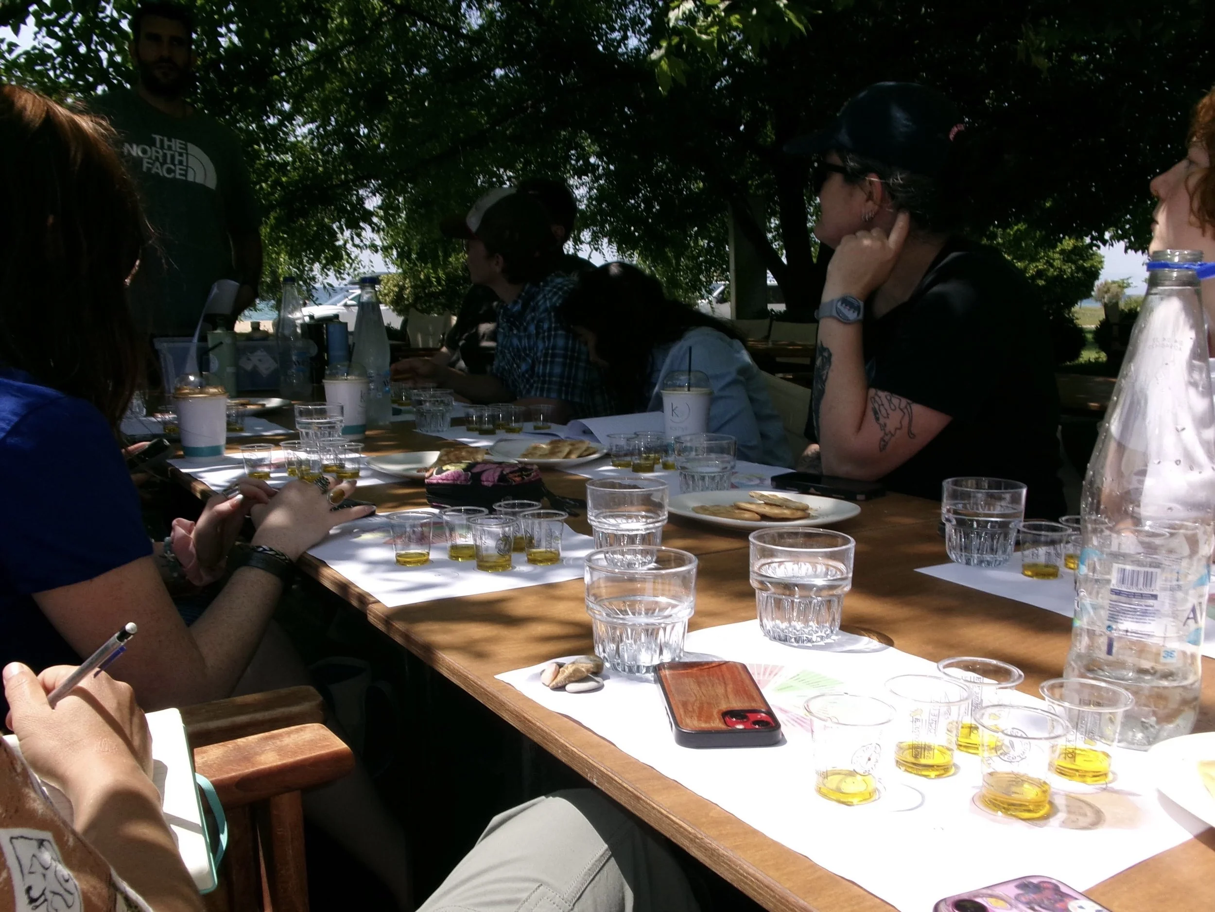  Jill Arnold and students are led lead in an olive oil tasting workshop &nbsp; on May 1, 2026 in ‎⁨Nea Plagia⁩, ⁨Central Macedonia⁩, ⁨Greece⁩ (courtesy of Toby Freel ‘26) 