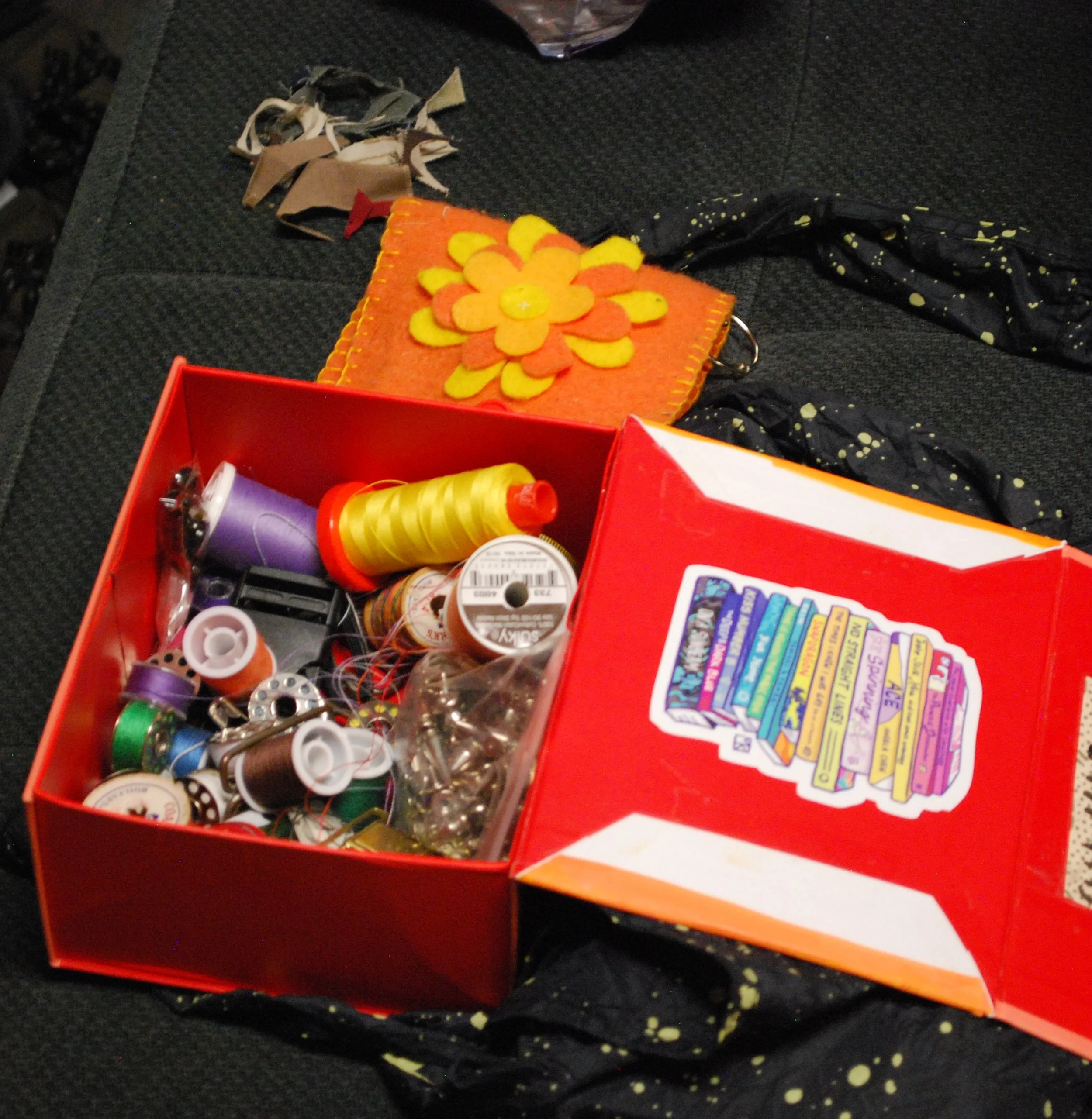  Box of embroidery equipment in the Queer Resource Center on Oct. 1, 2026 in Swannanoa, N.C. (Finn McKenny/Echo) 