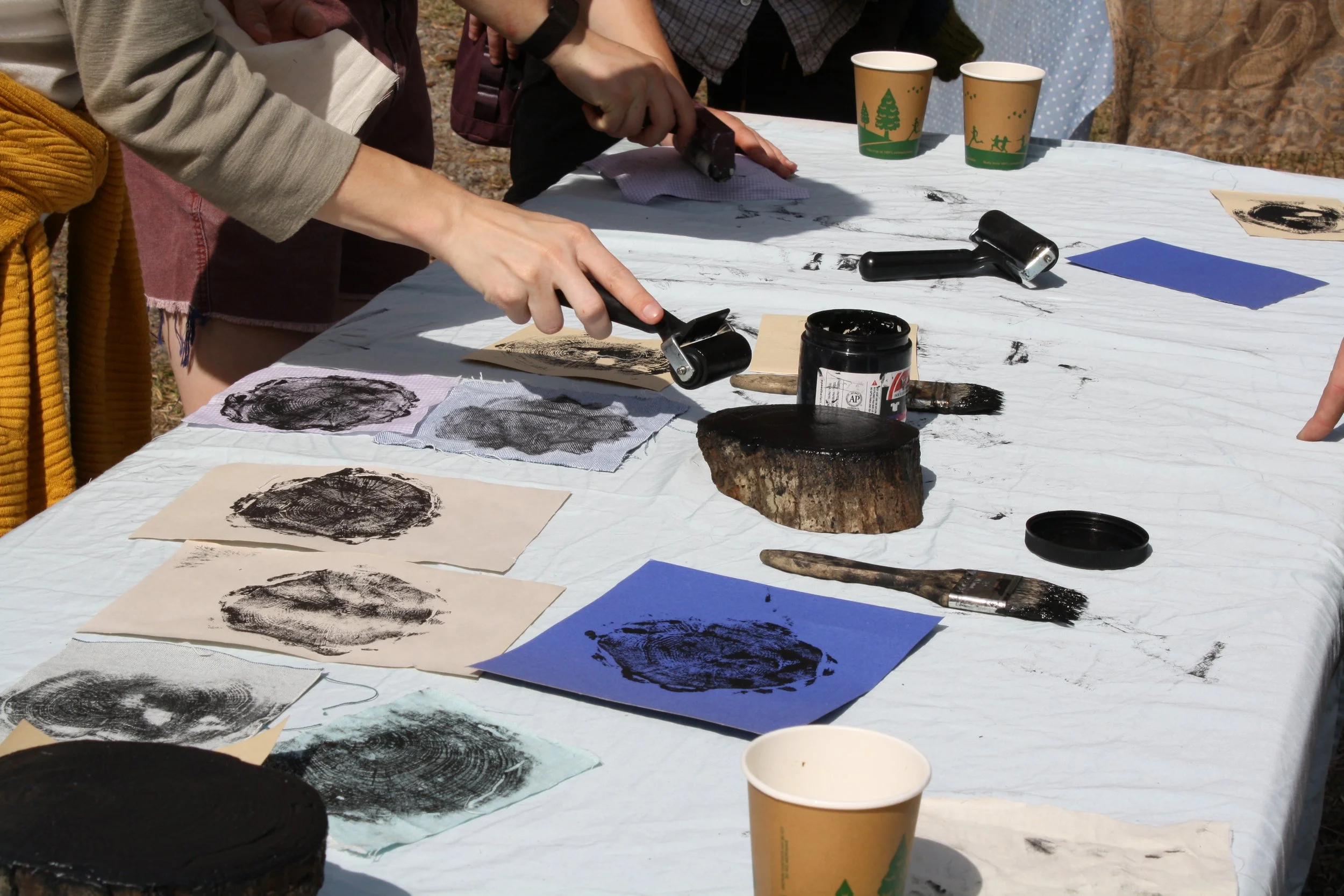  Visitors make tree prints at the Forestry Crew table at Warren Wilson College’s Fall Festival on Oct. 3, 2026 in Swannanoa, N.C. (Echo/Emma Taylor McCallum) 