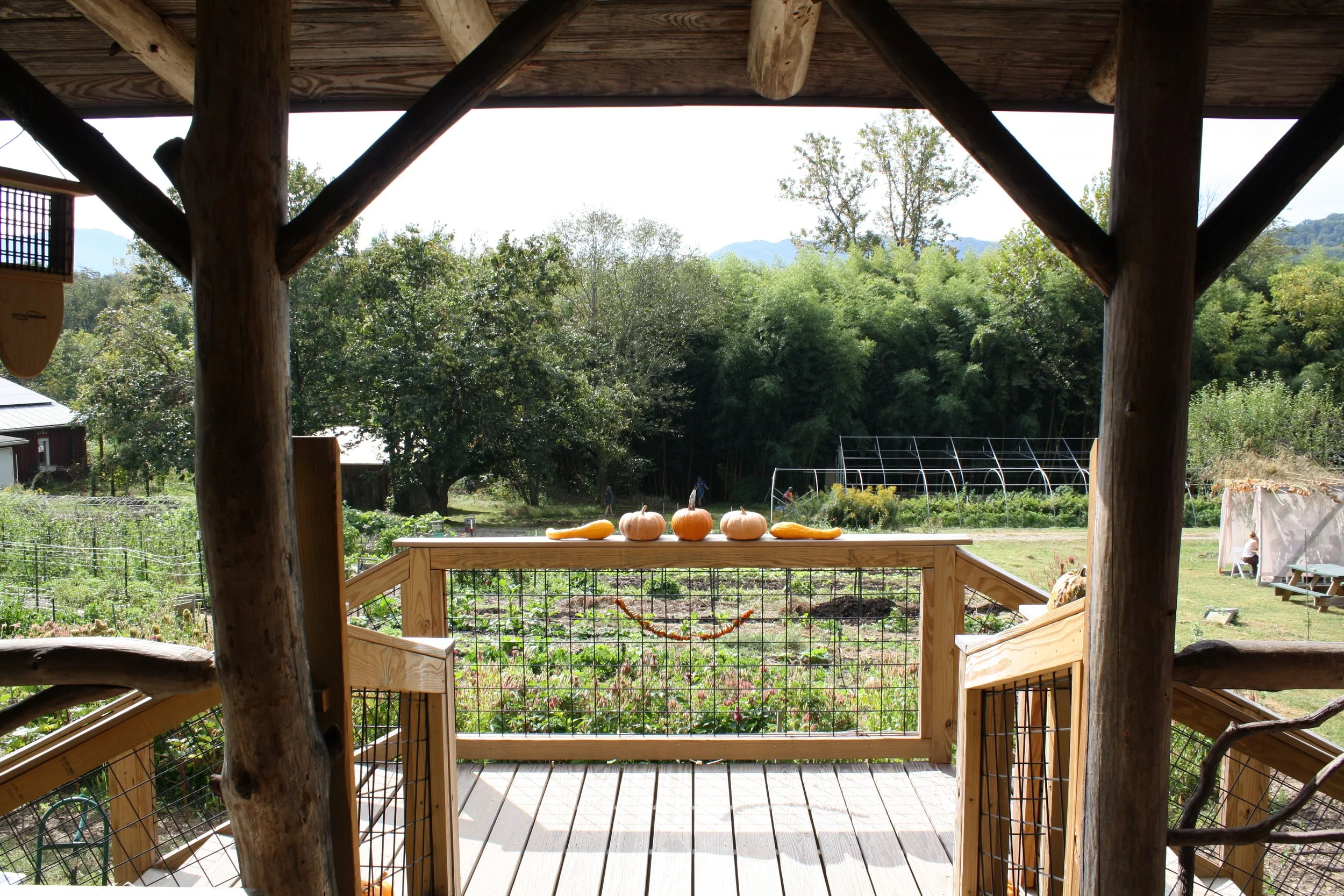  The garden cabin during Warren Wilson College’s Fall Fest on Oct. 3, 2026 in Swannanoa, N.C. (Echo/Emma Taylor McCallum) 