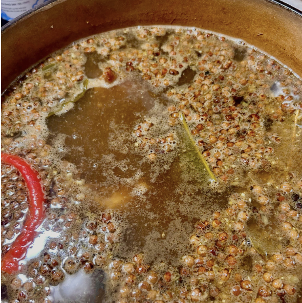  A bone broth simmers on a stovetop at Elliott Hove’s home in Asheville, N.C. (Echo/Elliott Hove) 