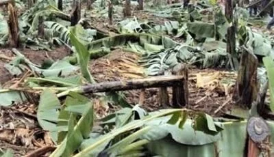 Uganda: Newly Christian Families Driven from Village