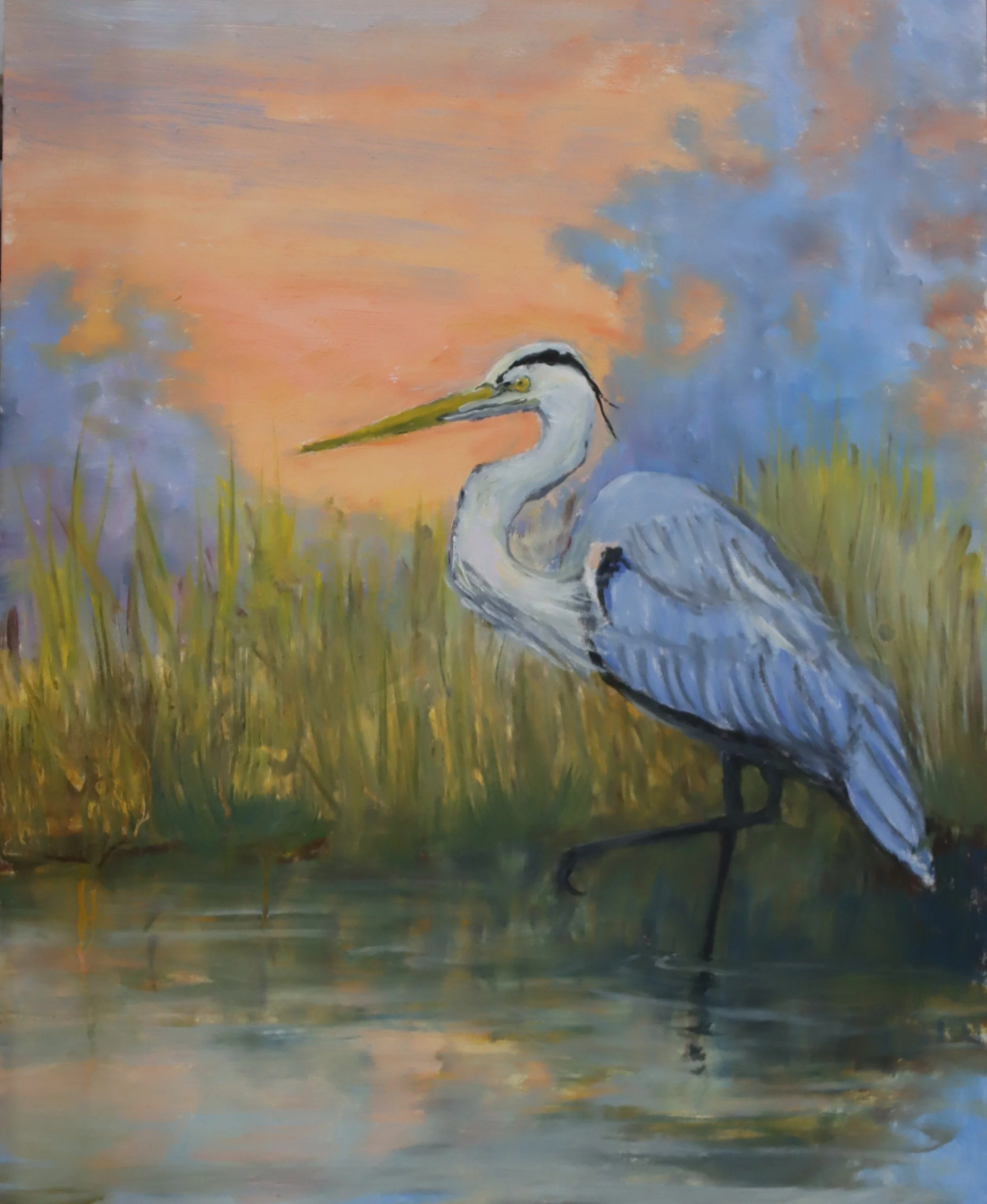Blue Heron.JPG