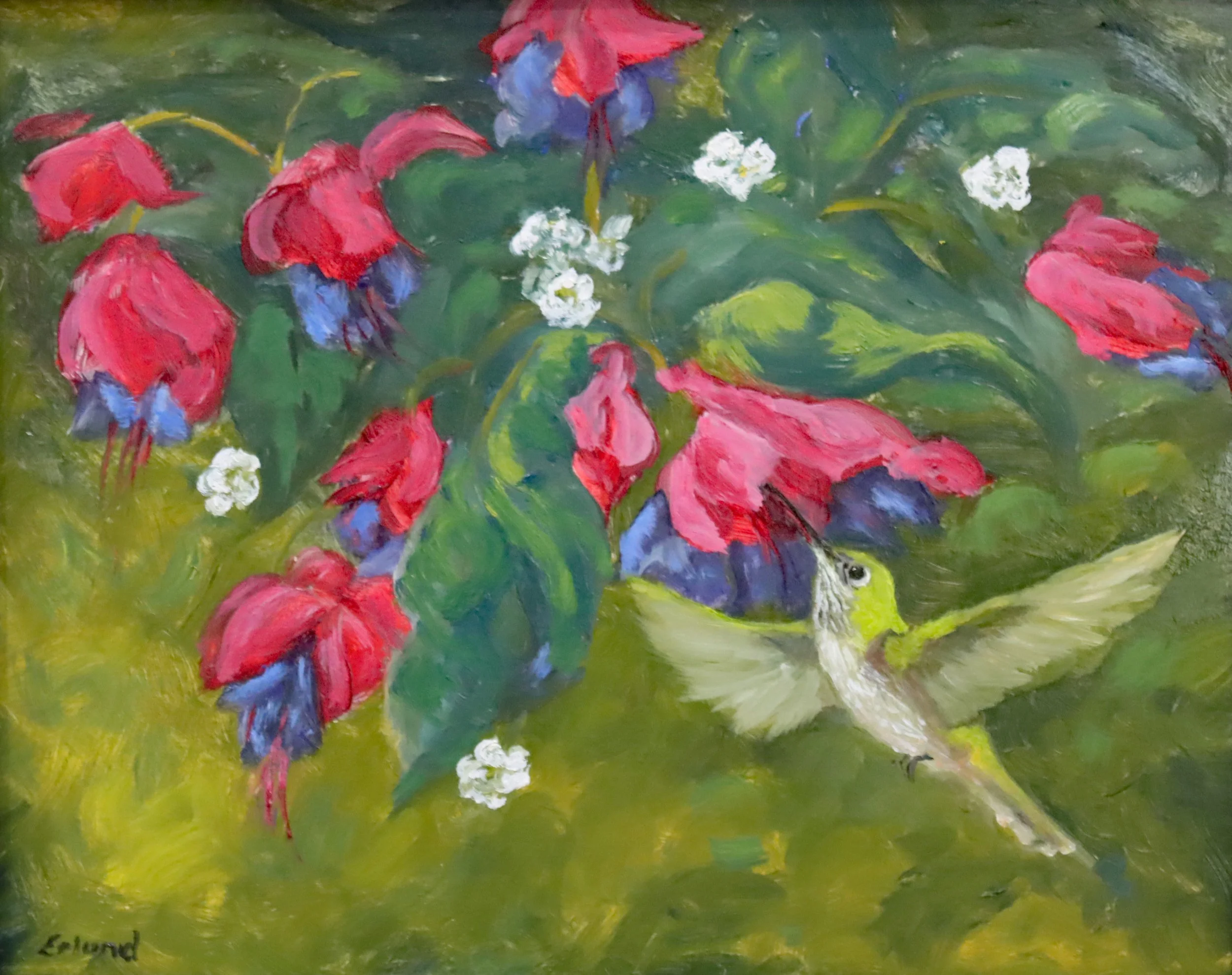 Fuschia with female broadtail.jpg