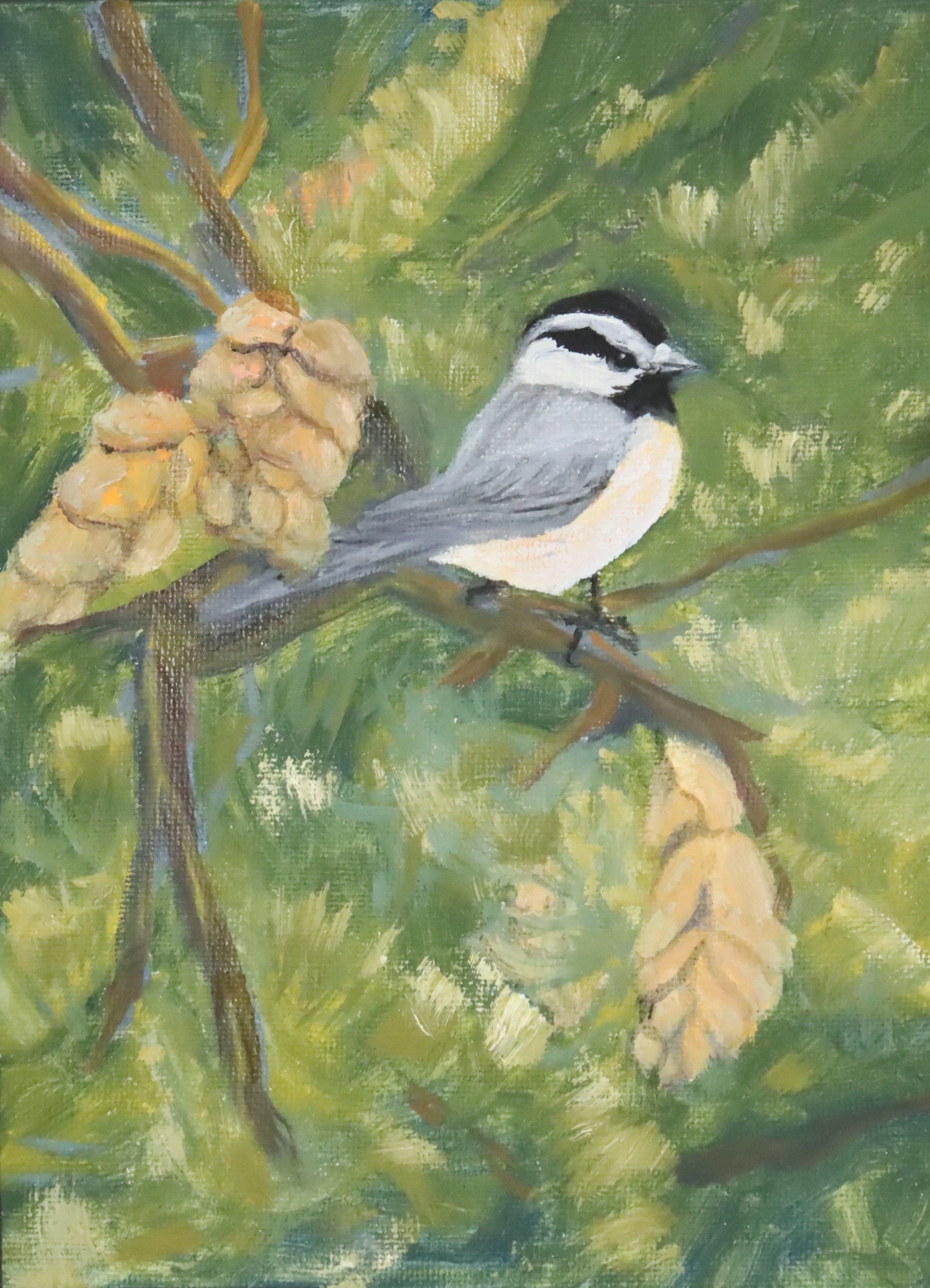 Chickadee 1.JPG