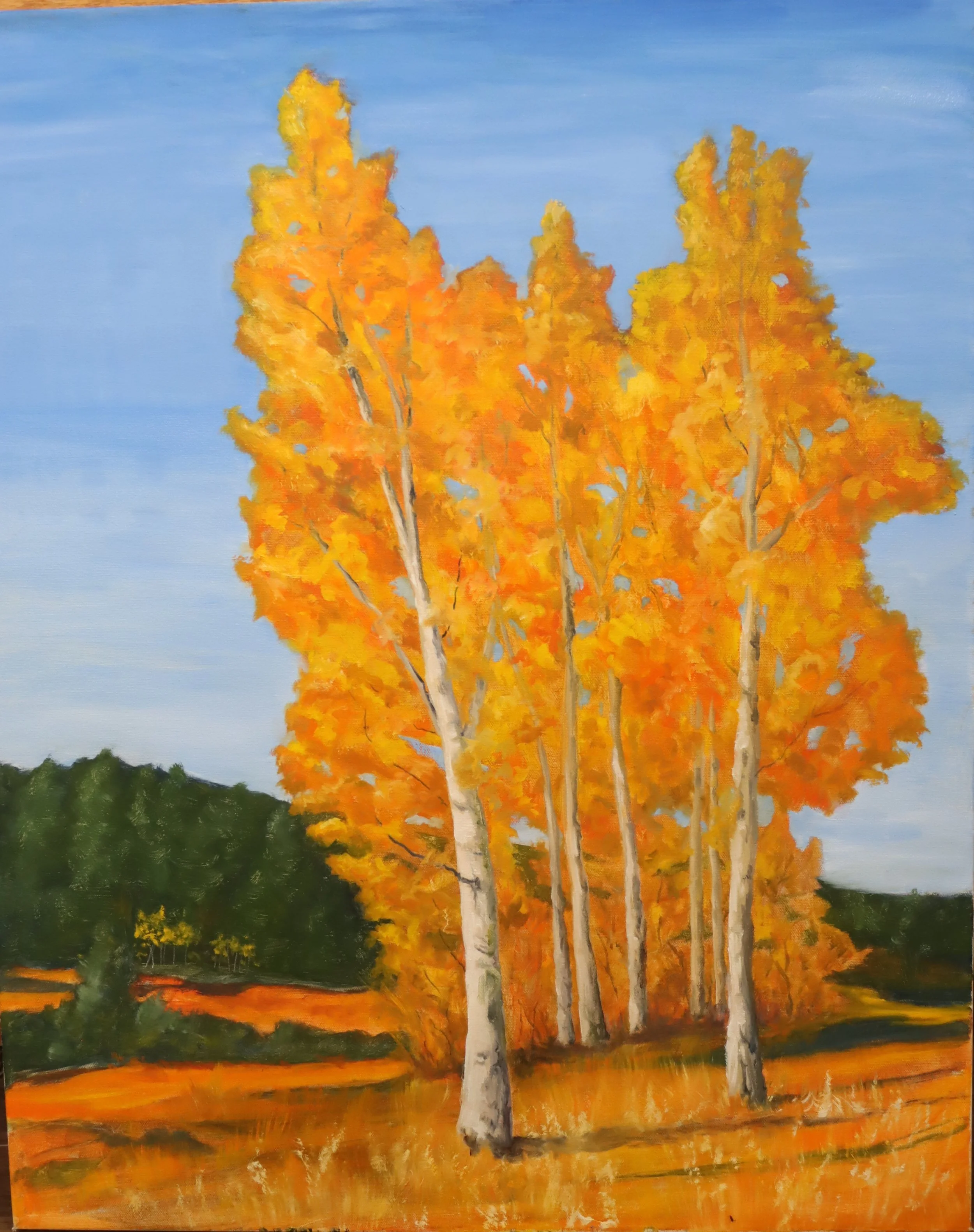Aspens fall.JPG