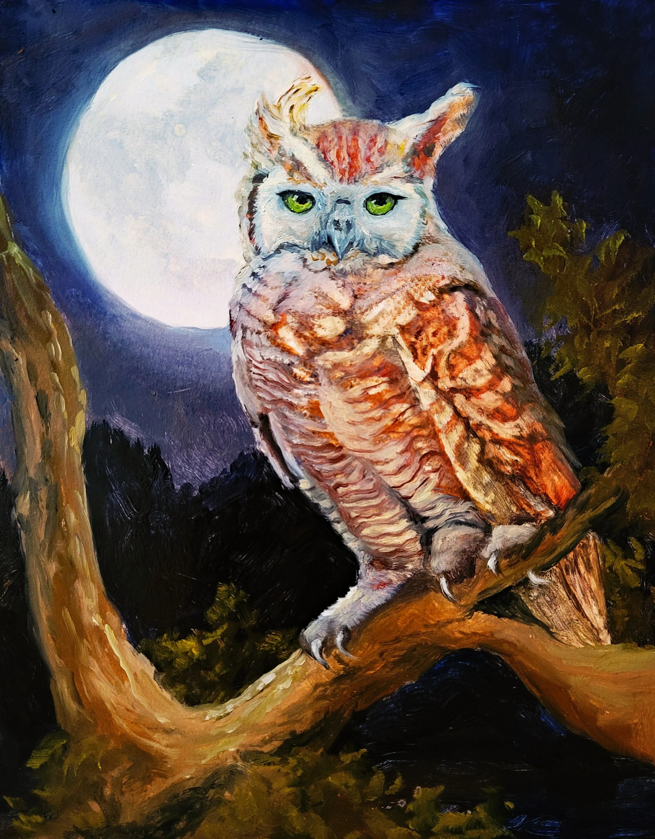 Great Horned Owl.jpg