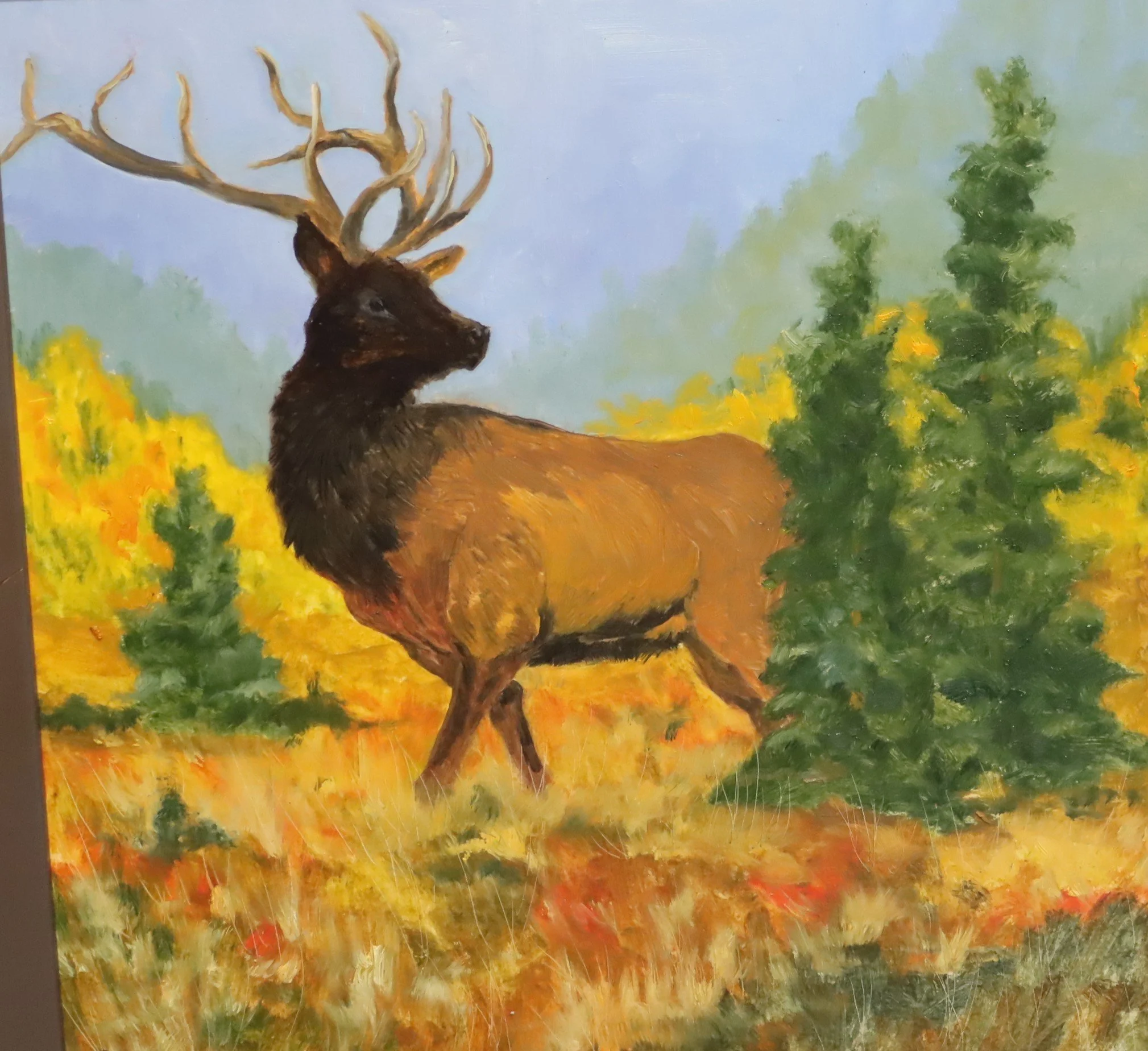 Elk.JPG