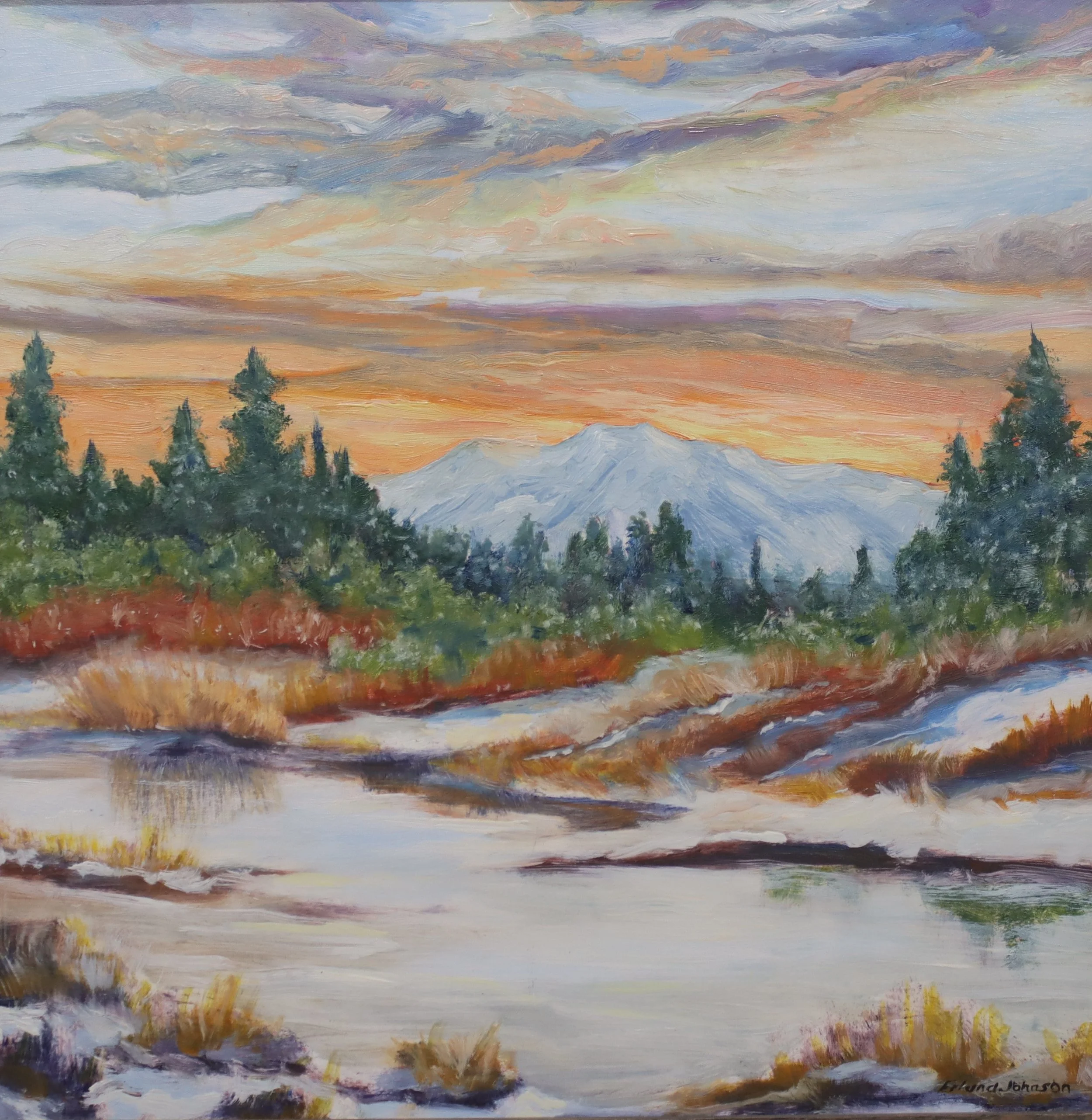 Landscape frozen river.JPG